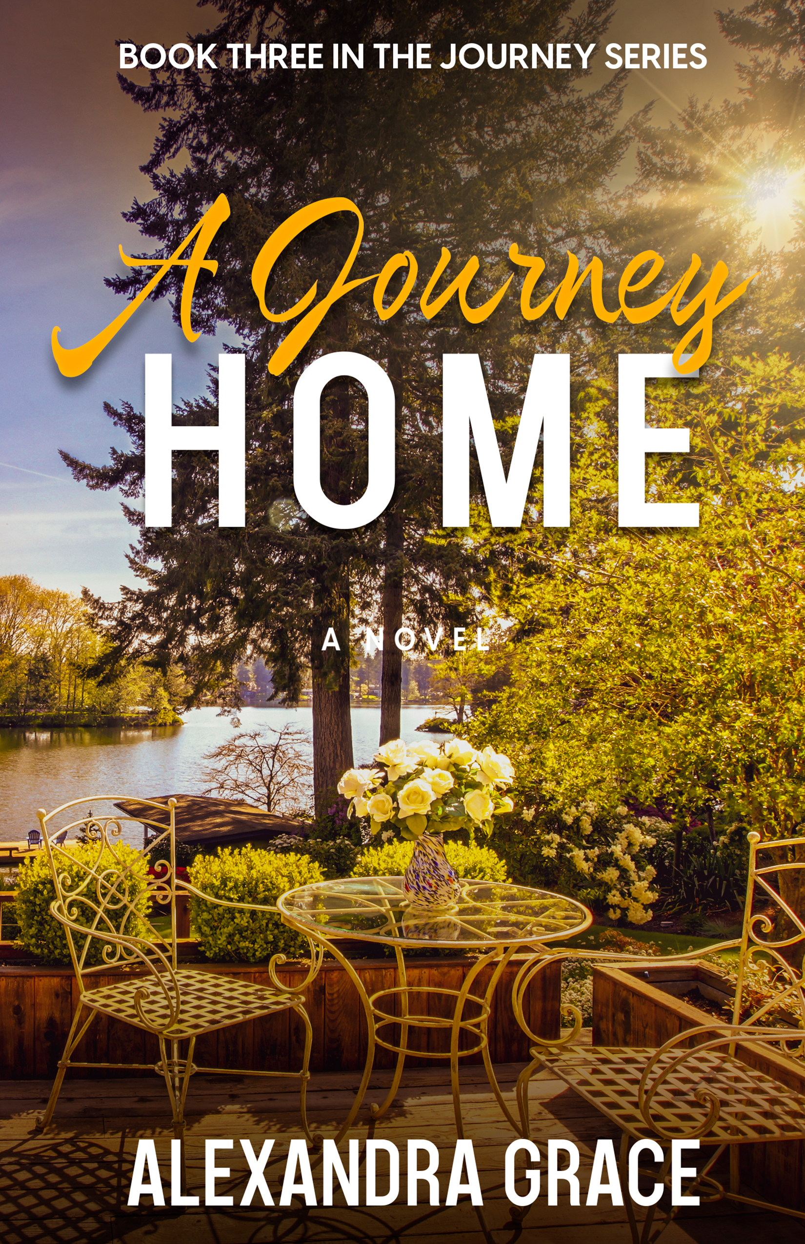 The Journey book cover 3