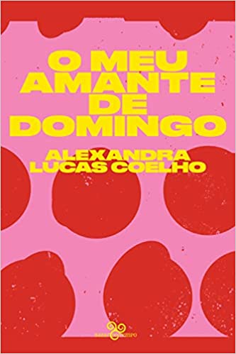 O meu amante de domingo book cover