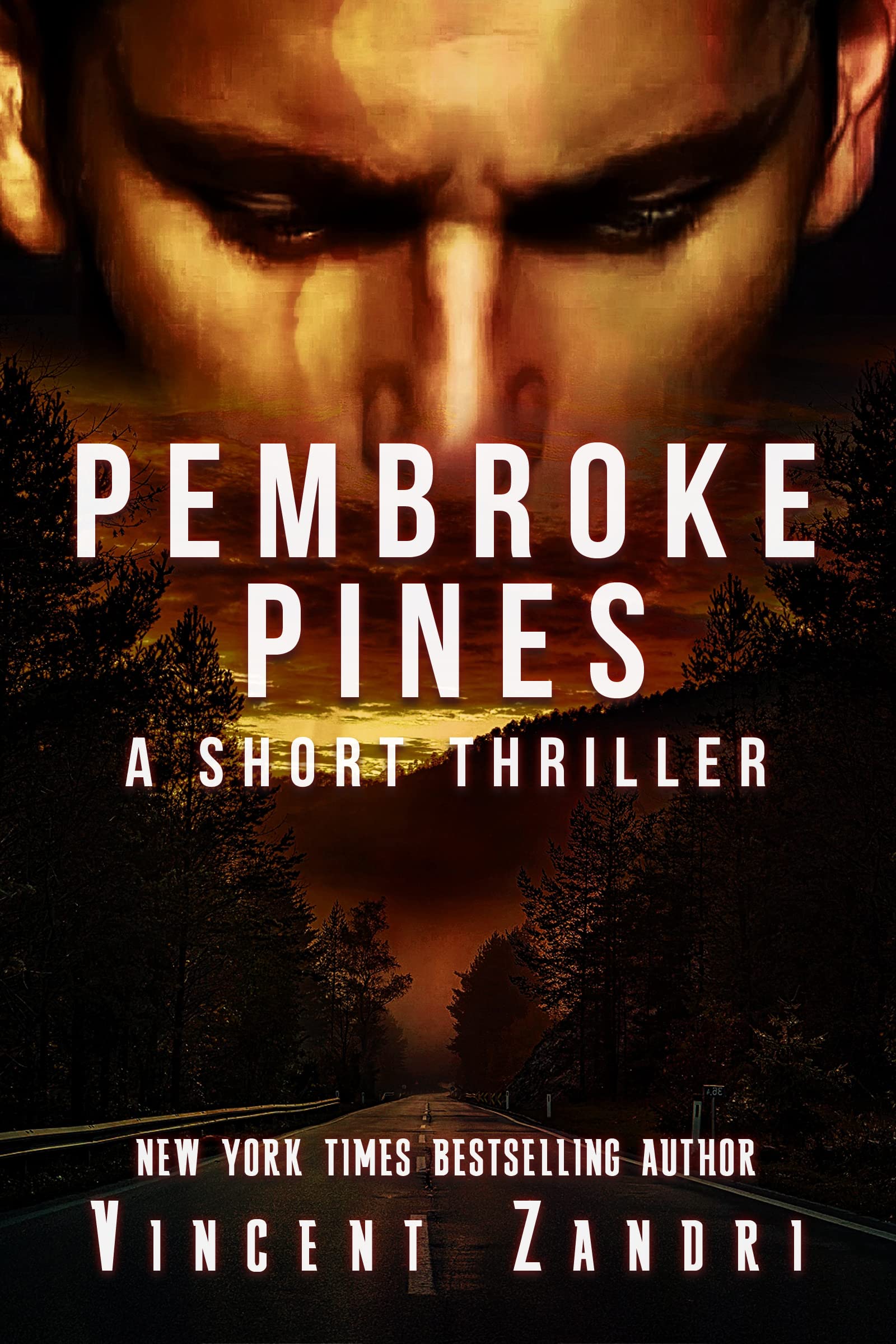 Pembroke Pines A Short Thriller by Vincent Zandri Goodreads