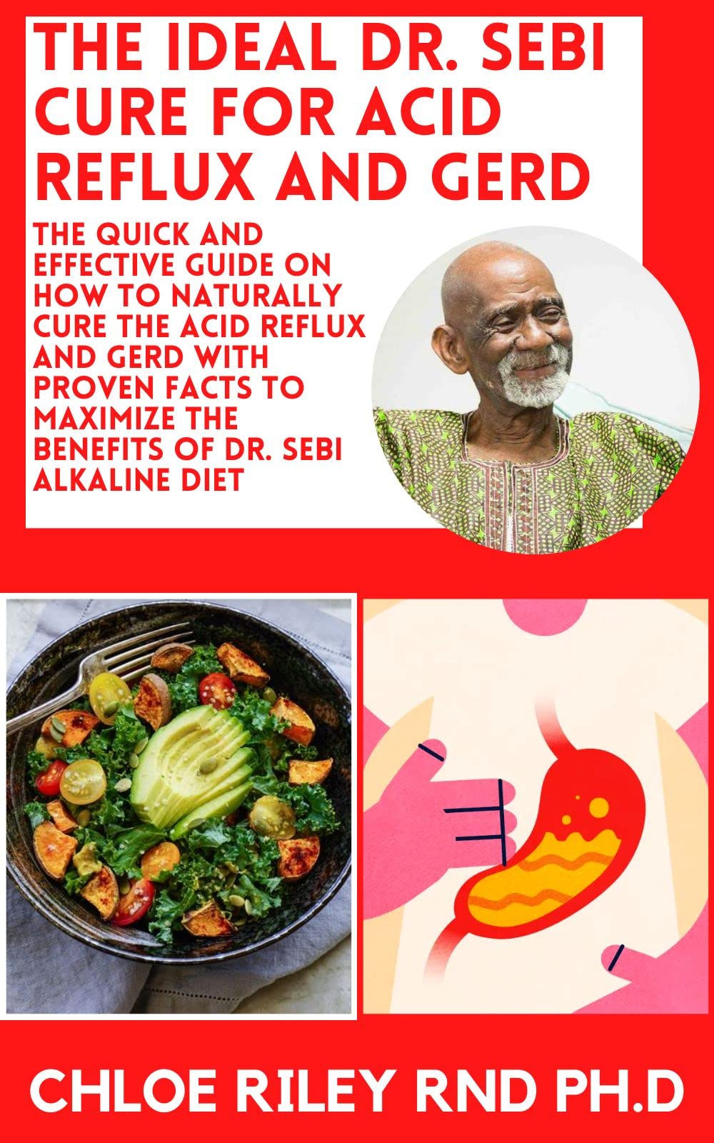 THE IDEAL DR. SEBI CURE FOR ACID REFLUX AND GERD The Quick and