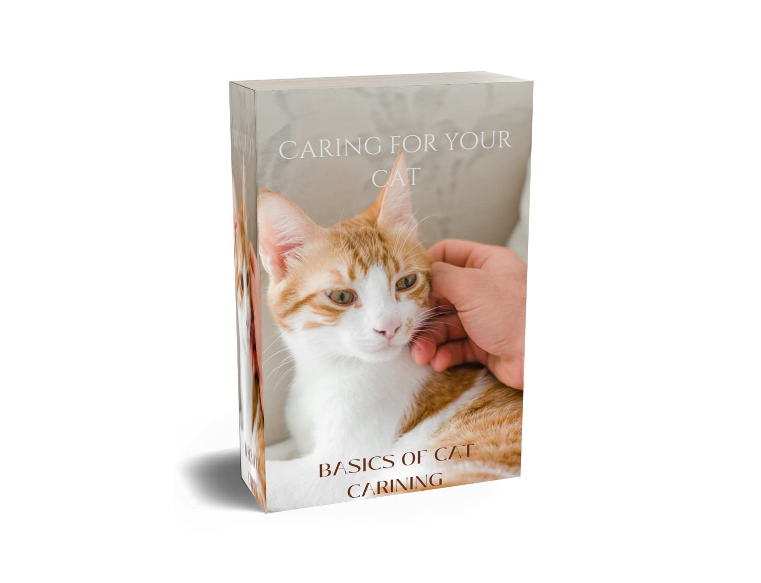 Caring for your cat When a person is interested in keeping a pet