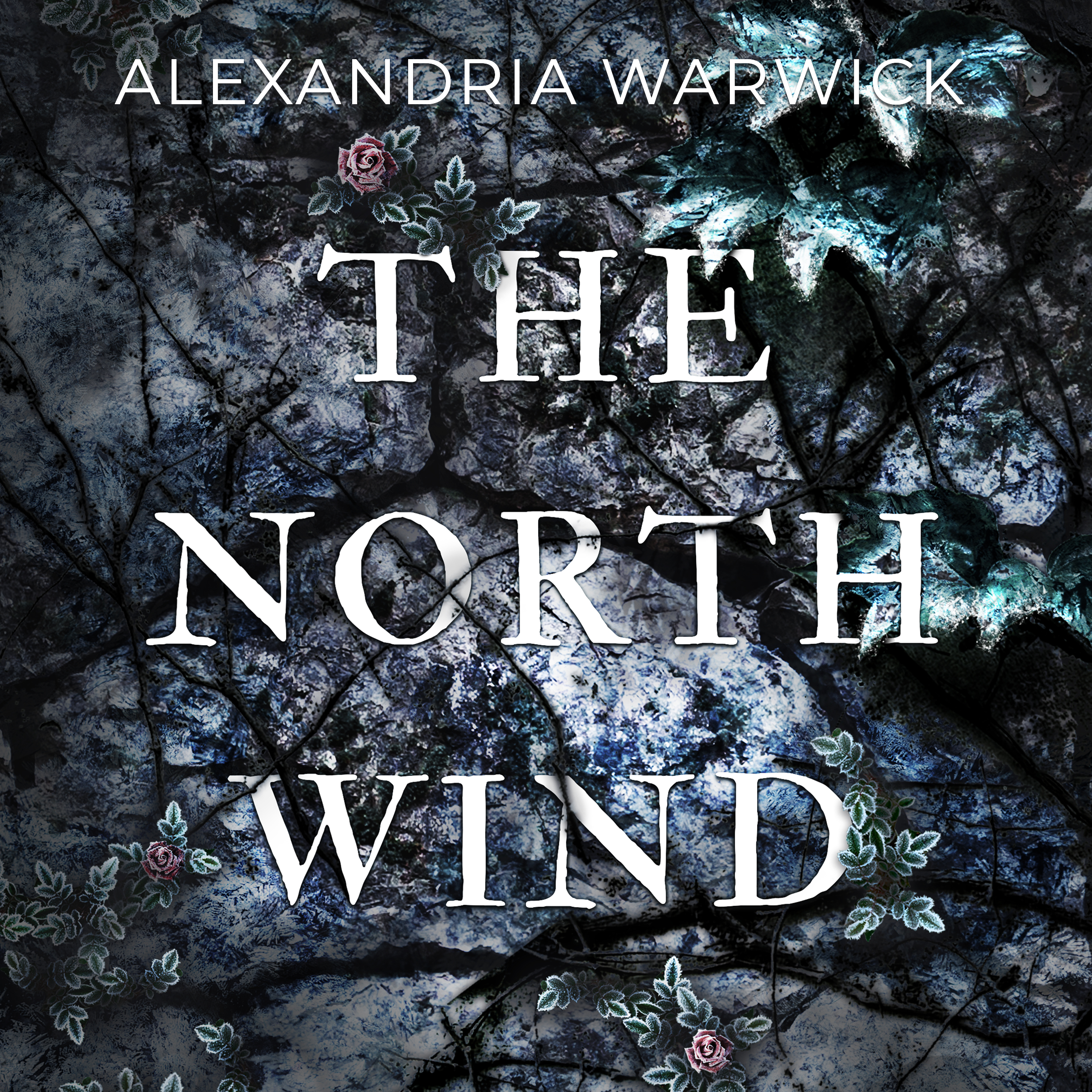 The North Wind (The Four Winds, #1)