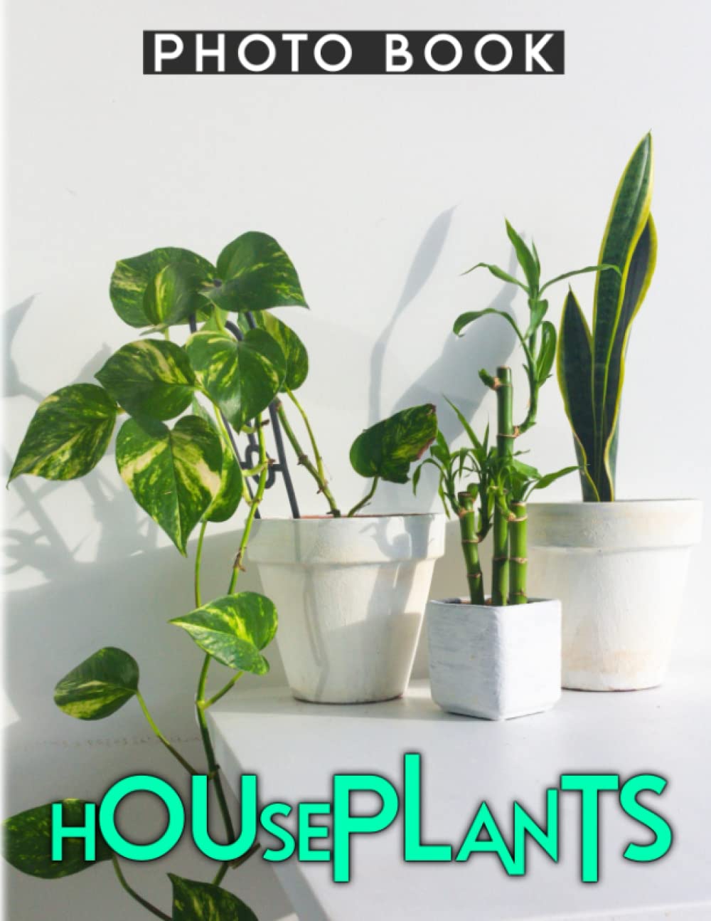 Houseplants Photobook The Best Indoor Plants for Every Room Wonder
