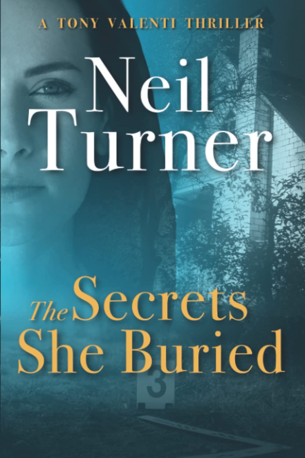 The Secrets She Buried Large Print Edition by Neil Turner Goodreads