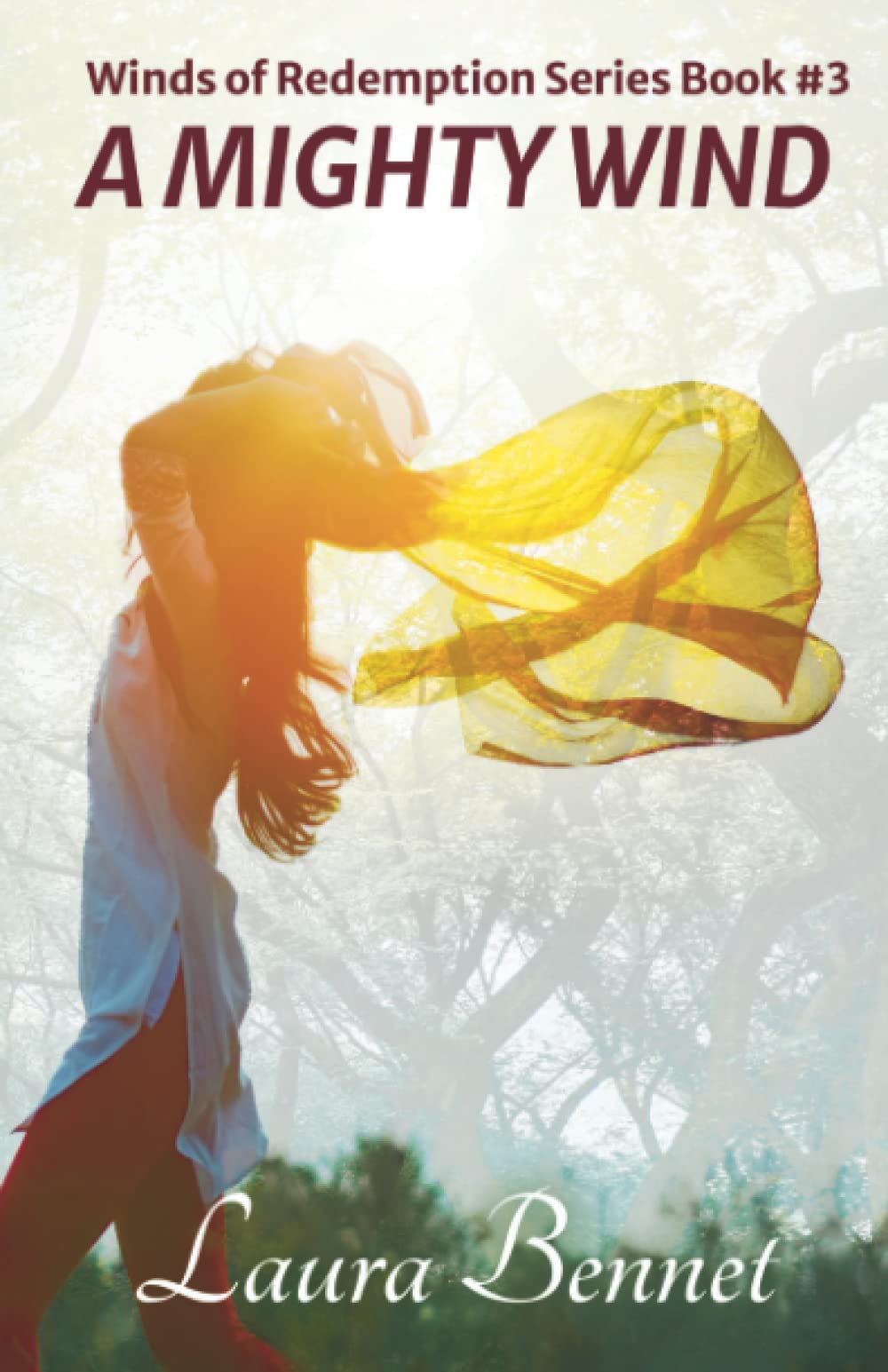 A Mighty Wind (Winds of Redemption) by Laura Goodreads