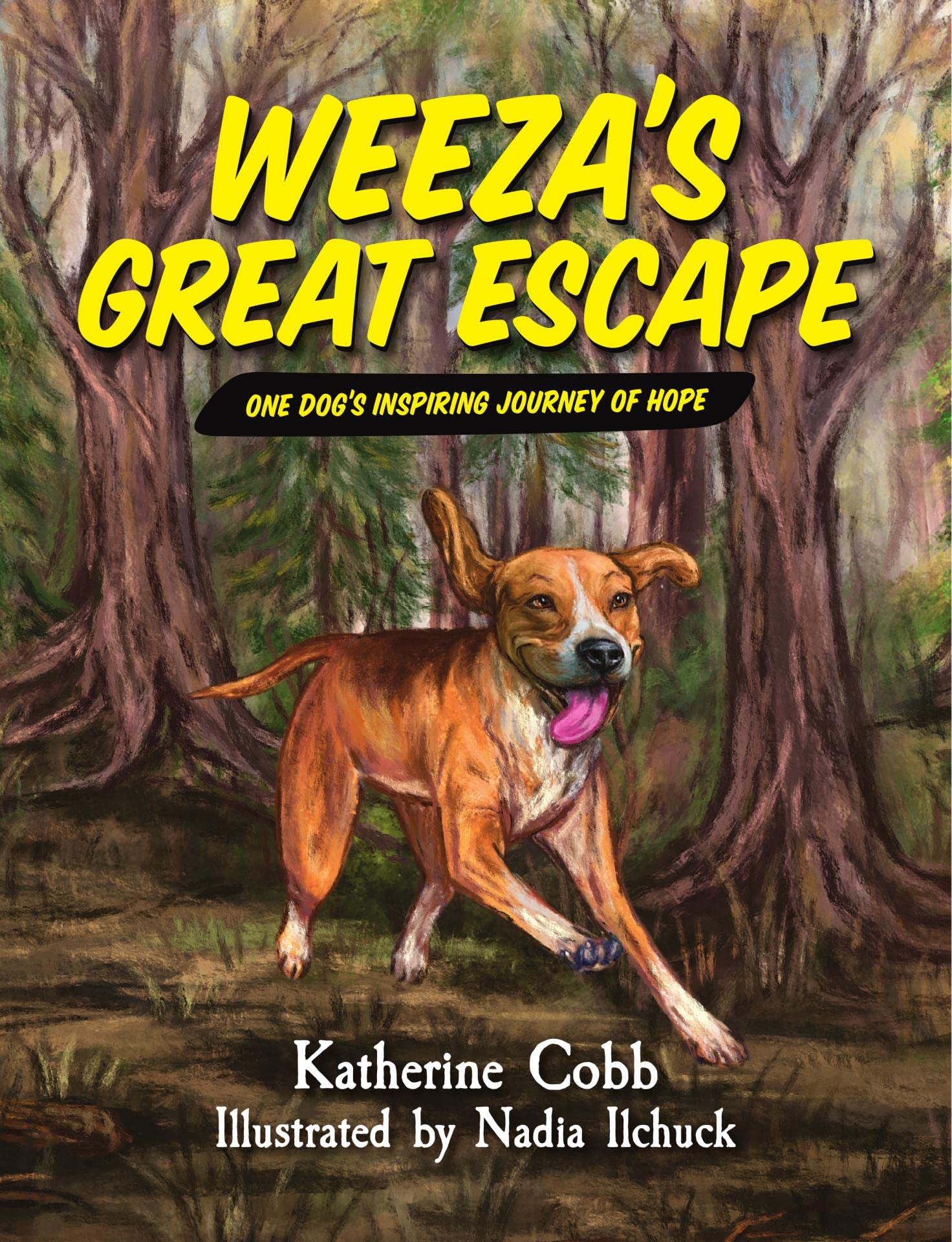 Escape To Cobb County: Your 2025 Spring Break Awaits - 4dh2tcd