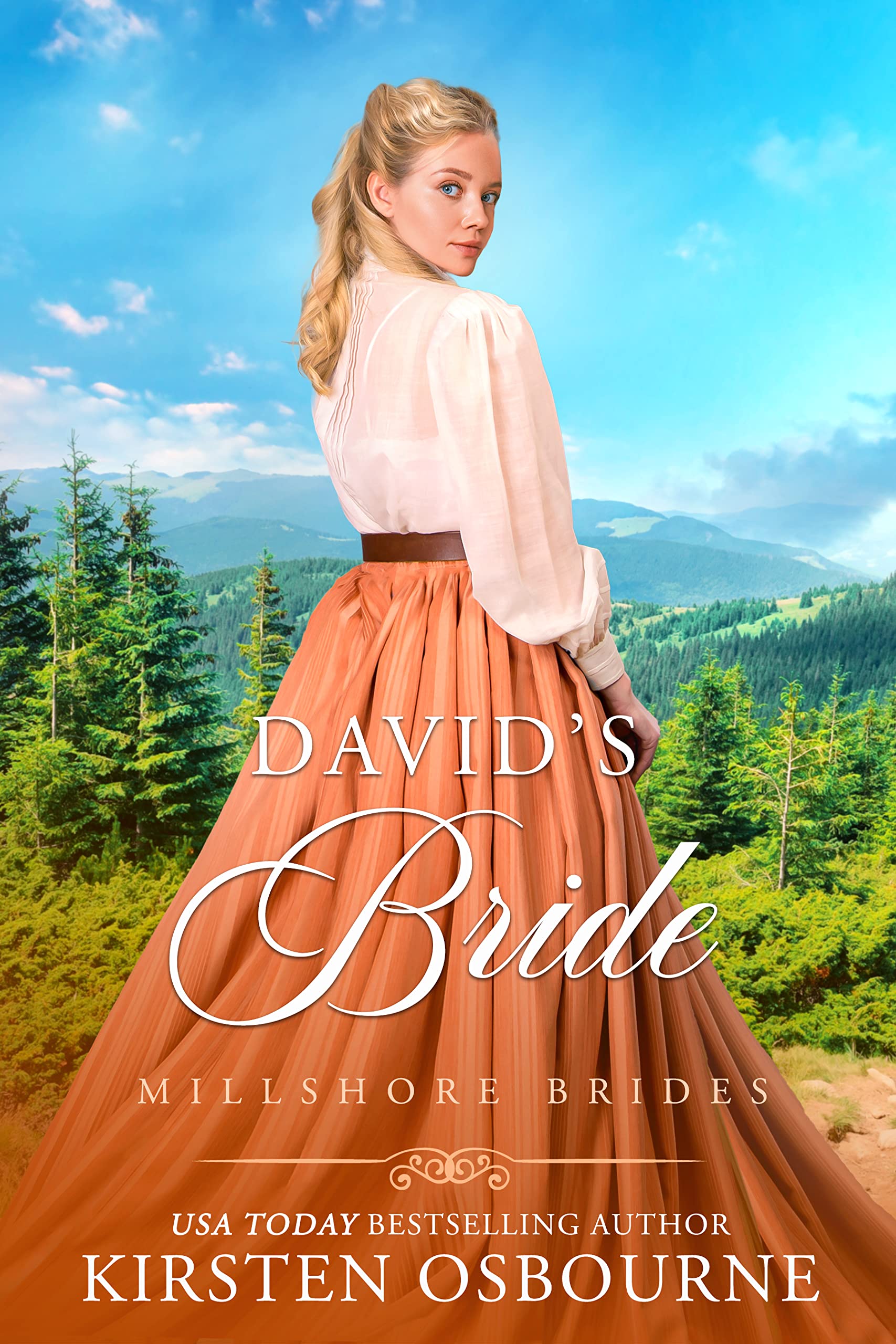 David's Bride book cover
