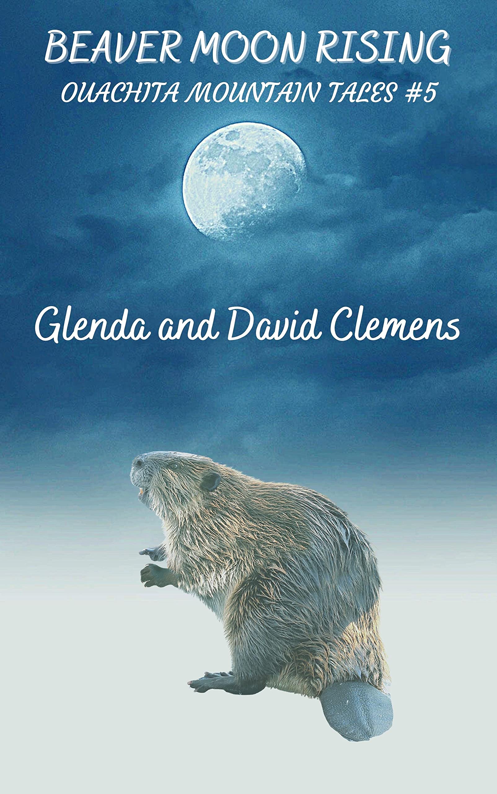 Beaver Moon Rising: Ouachita Mountain Book #5 by Glenda Clemens | Goodreads