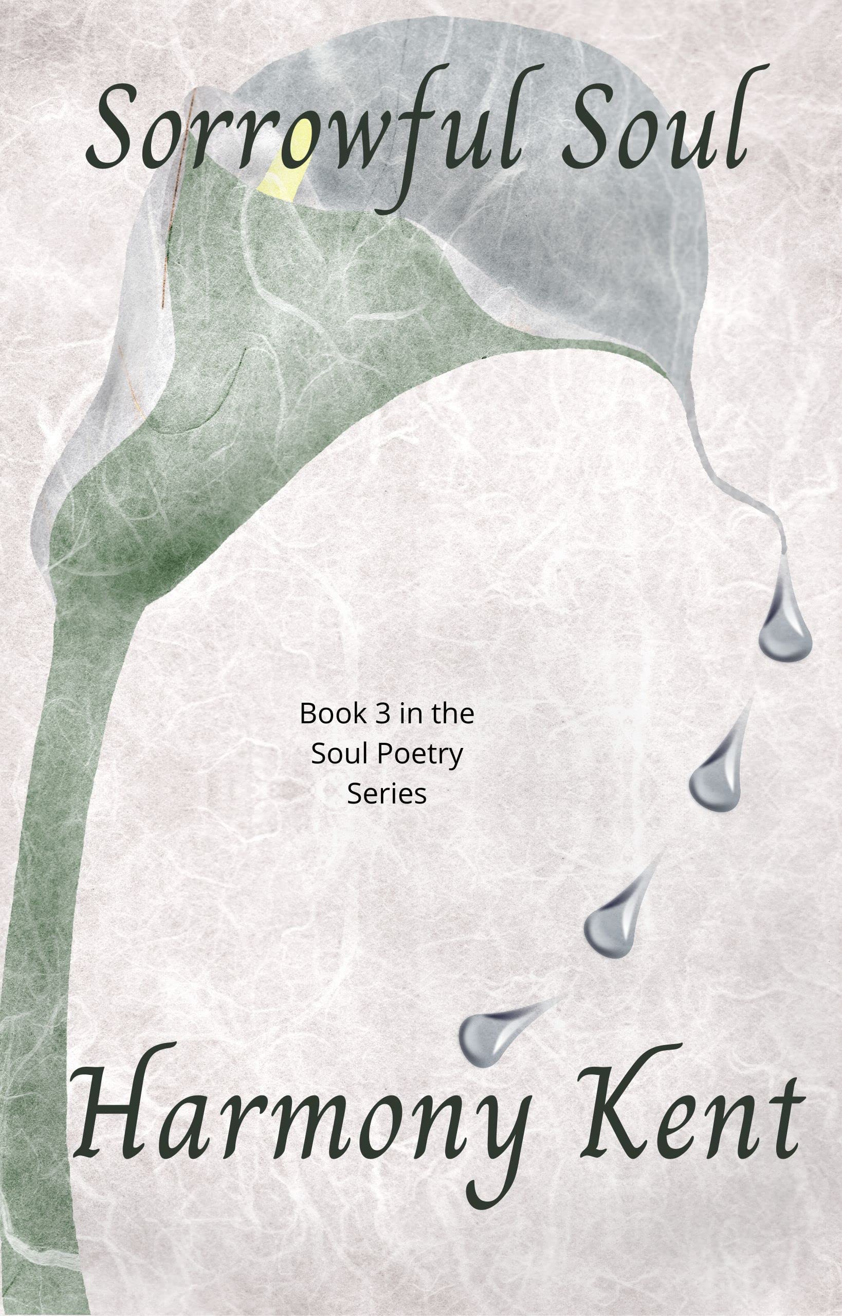 Sorrowful Soul: Book 3 in the Soul Poetry Series
