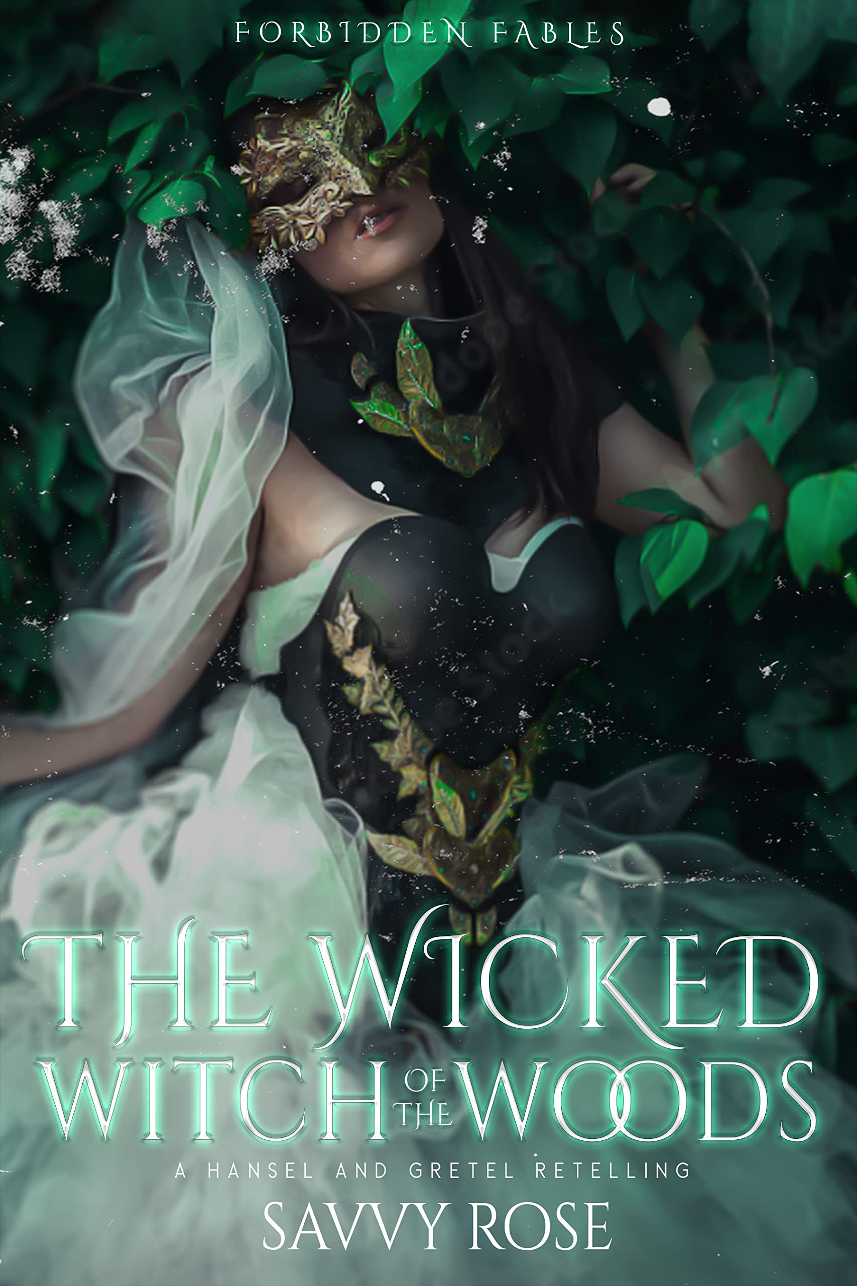 The Wicked Witch of the Woods book cover