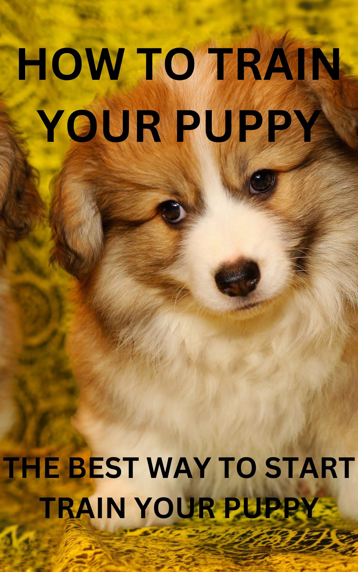how-to-train-your-puppy-the-best-way-to-train-your-puppy-by-mr-vasko