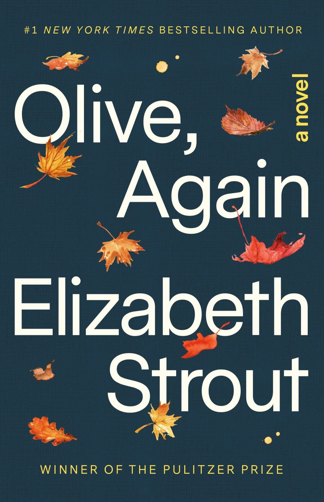 Olive, Again (Olive Kitteridge, #2)