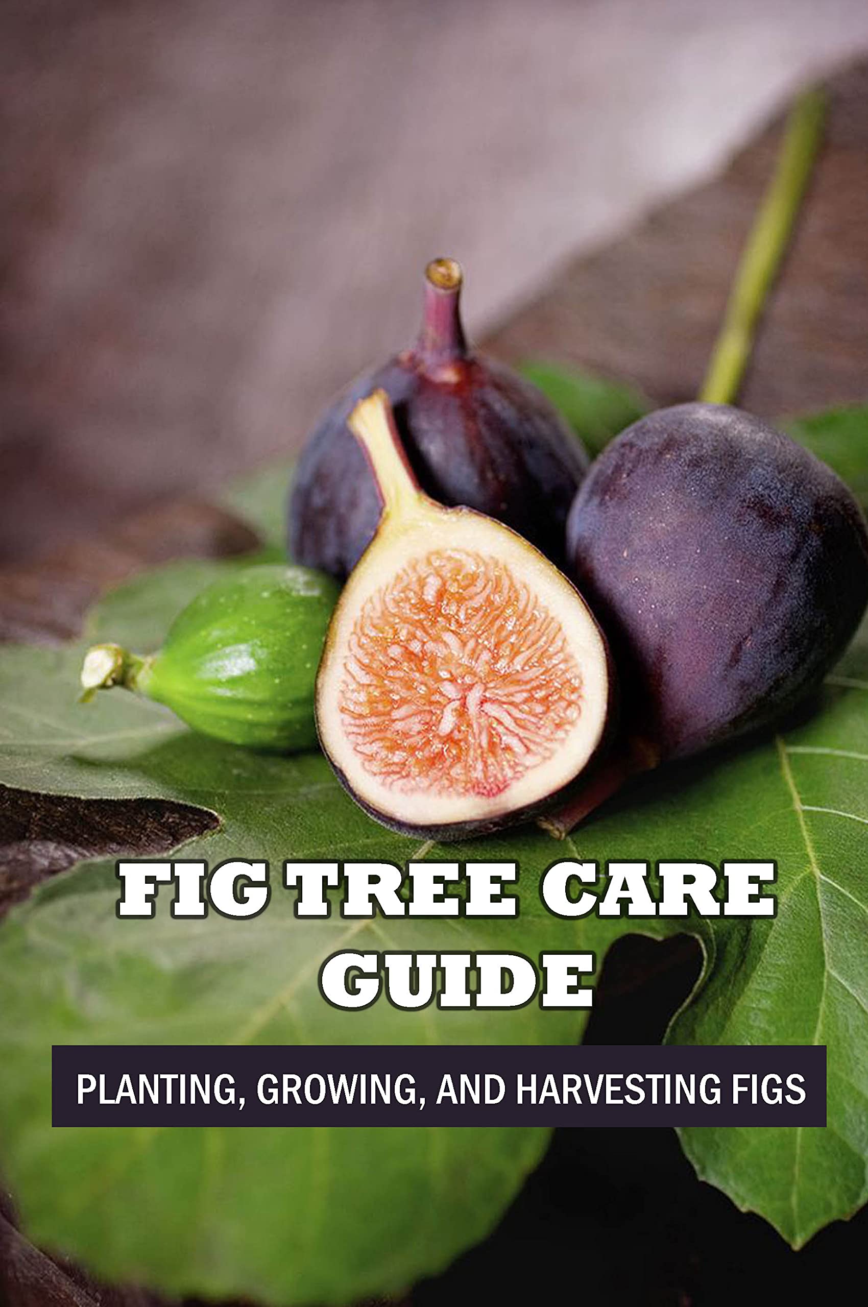 Fig Tree Care Guide Planting, Growing, And Harvesting Figs How