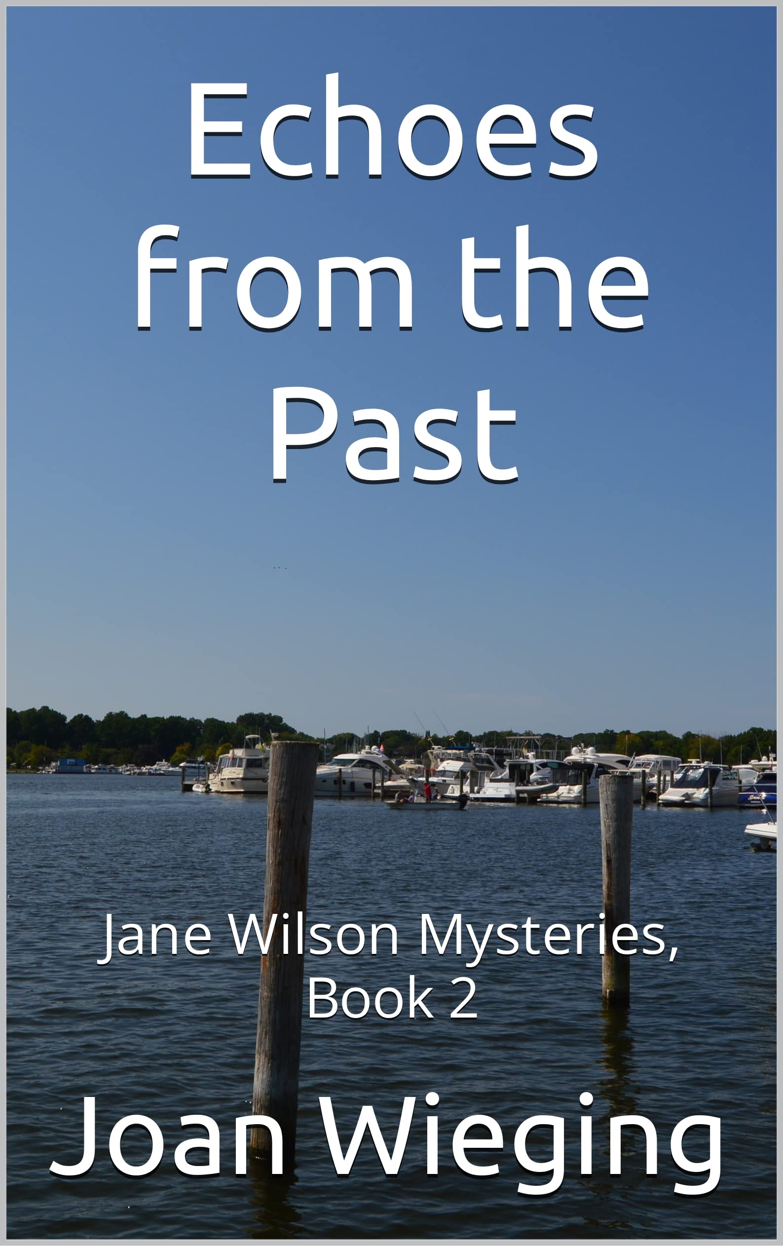 Echoes from the Past: Jane Wilson Mysteries, Book 2 by Joan Wieging