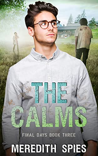 Final Days book cover 3