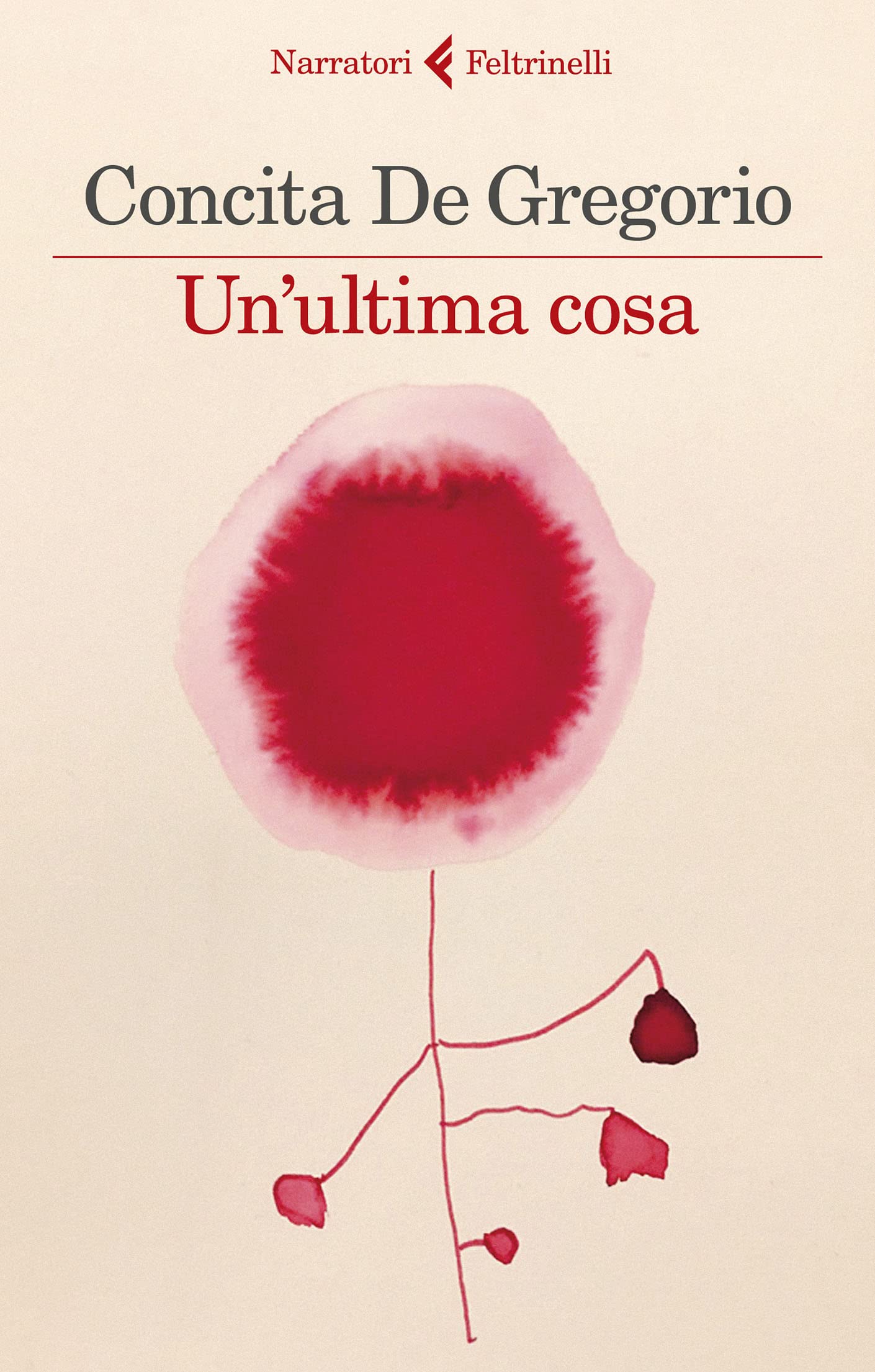 Un'ultima cosa book cover