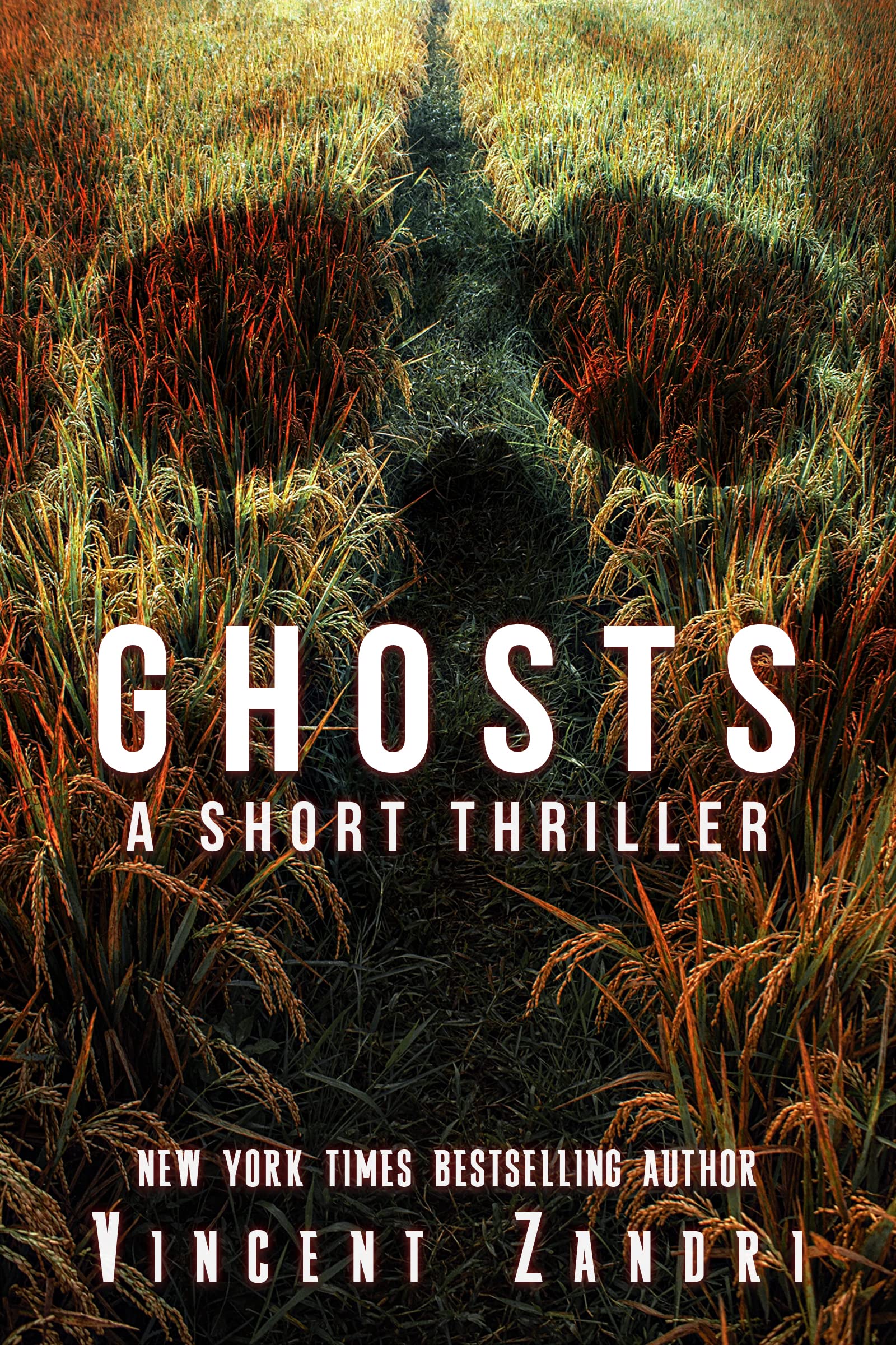 Ghosts A Short Thriller by Vincent Zandri Goodreads