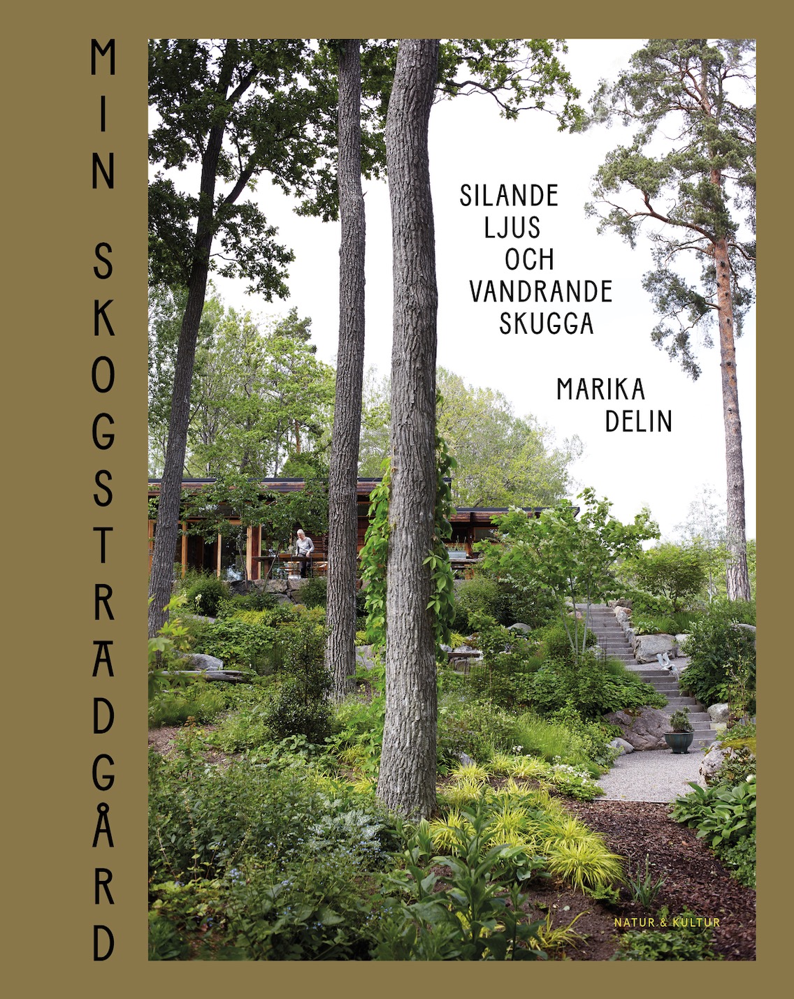 Min skogsträdgård: silande ljus och vandrande skugga