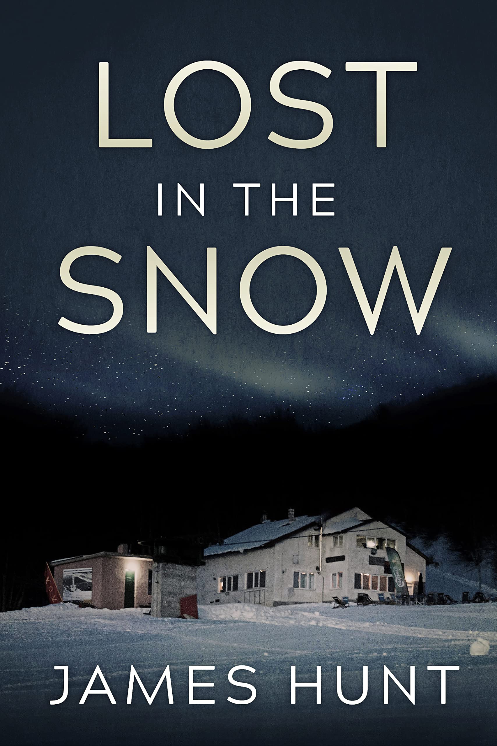 Lost in the Snow book cover