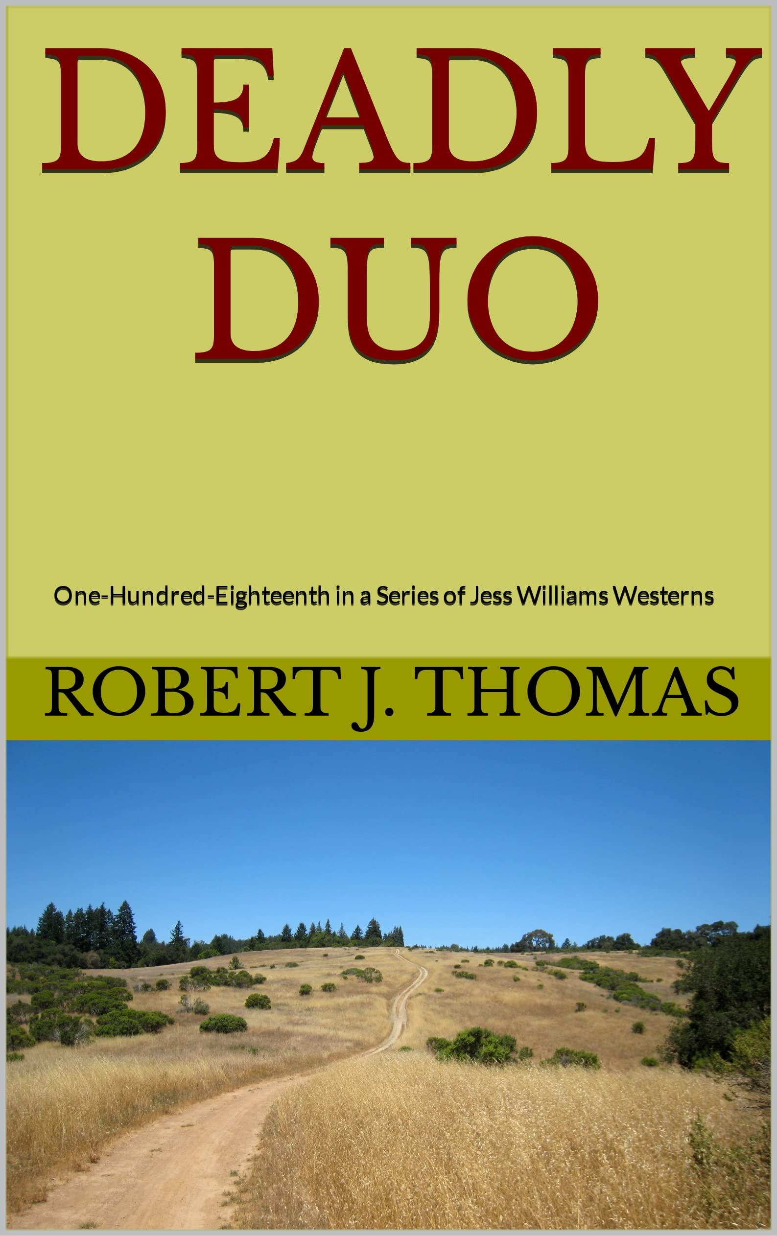 DEADLY DUO book cover