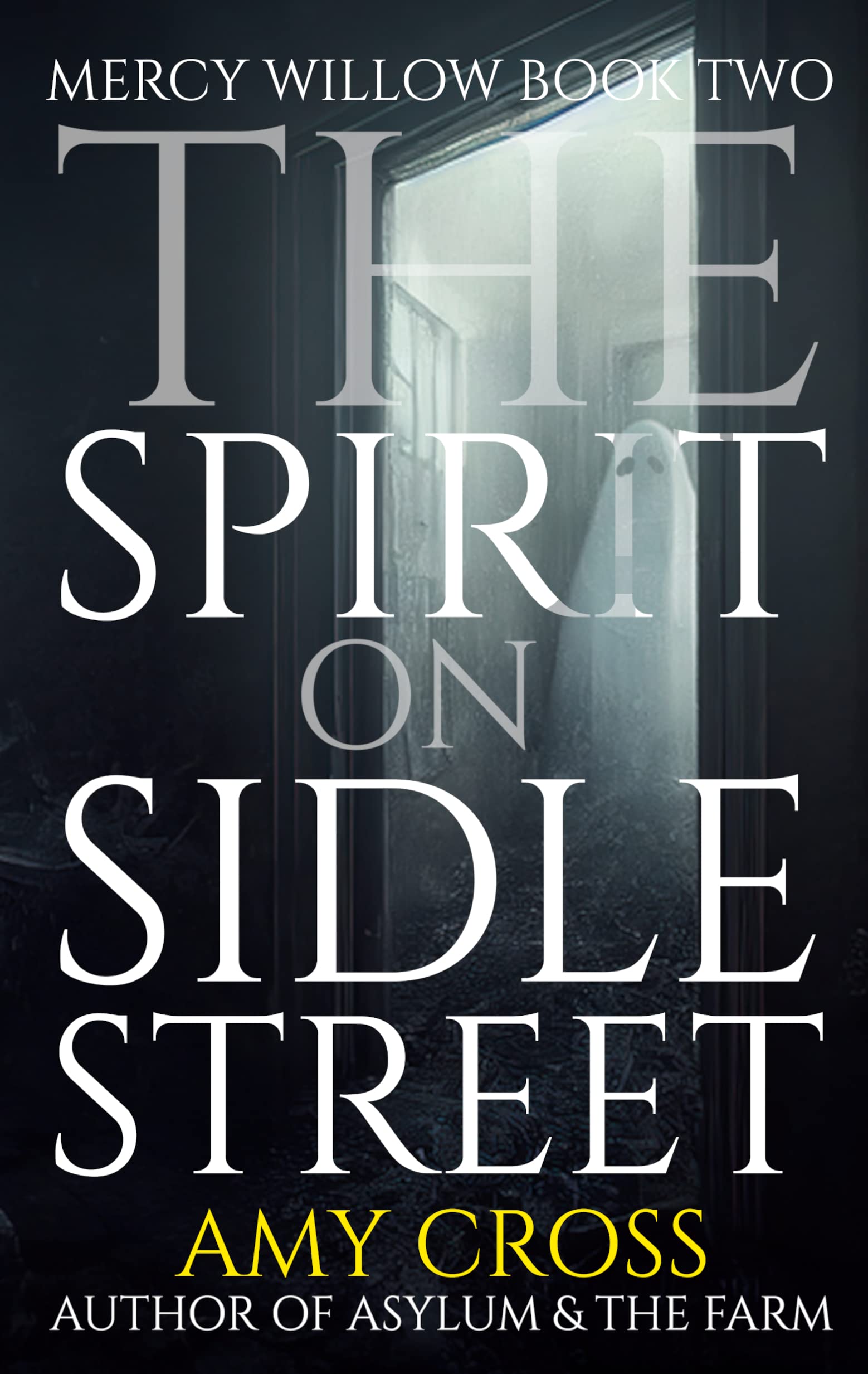 The Spirit on Sidle Street book cover
