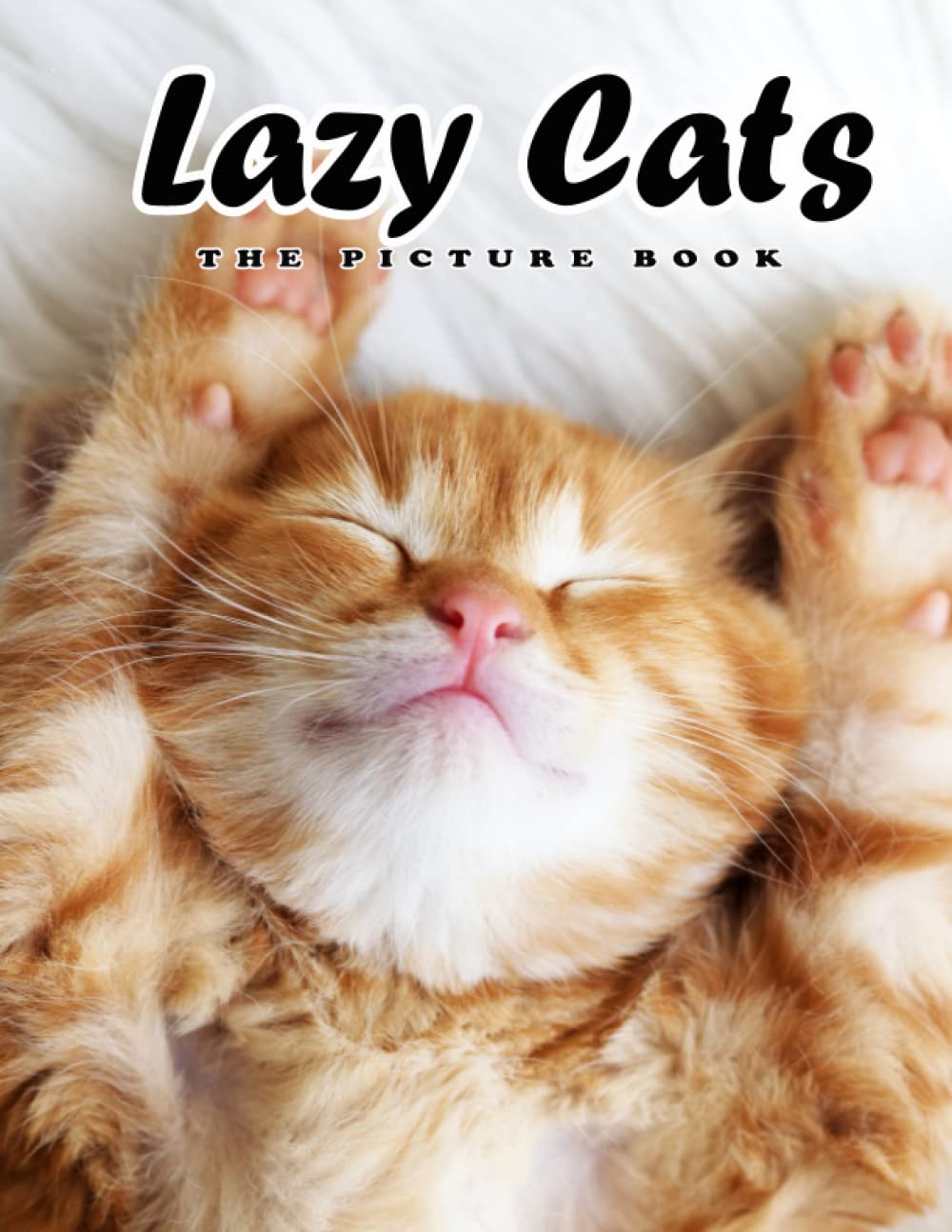Lazy Cats Photo Book An Amazing Collection With Impressive Photos Of