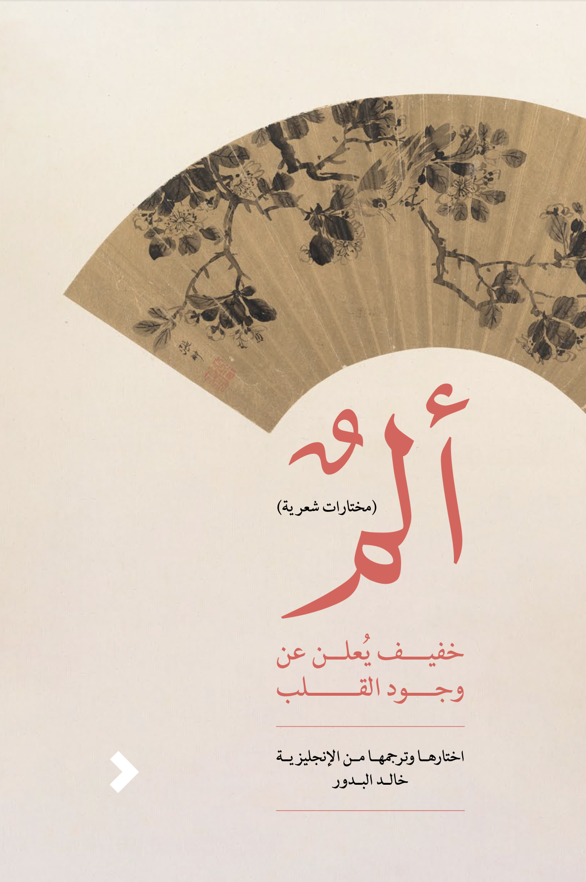 ألم خفيف يعلن عن وجود القلب book cover