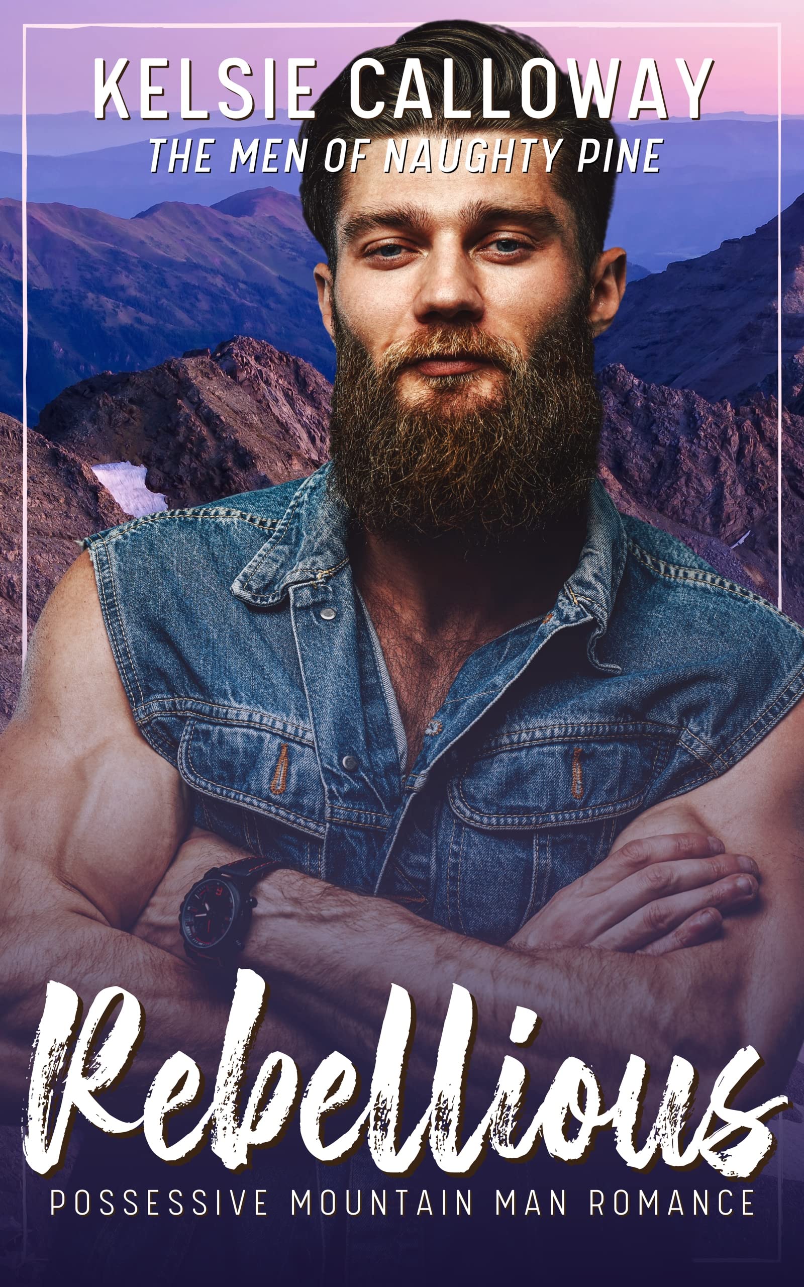 The Men Of Naughty Pine book cover 2