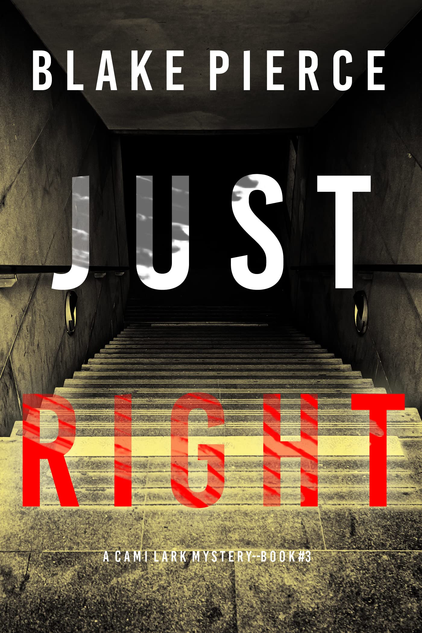 Cami Lark FBI book cover 3