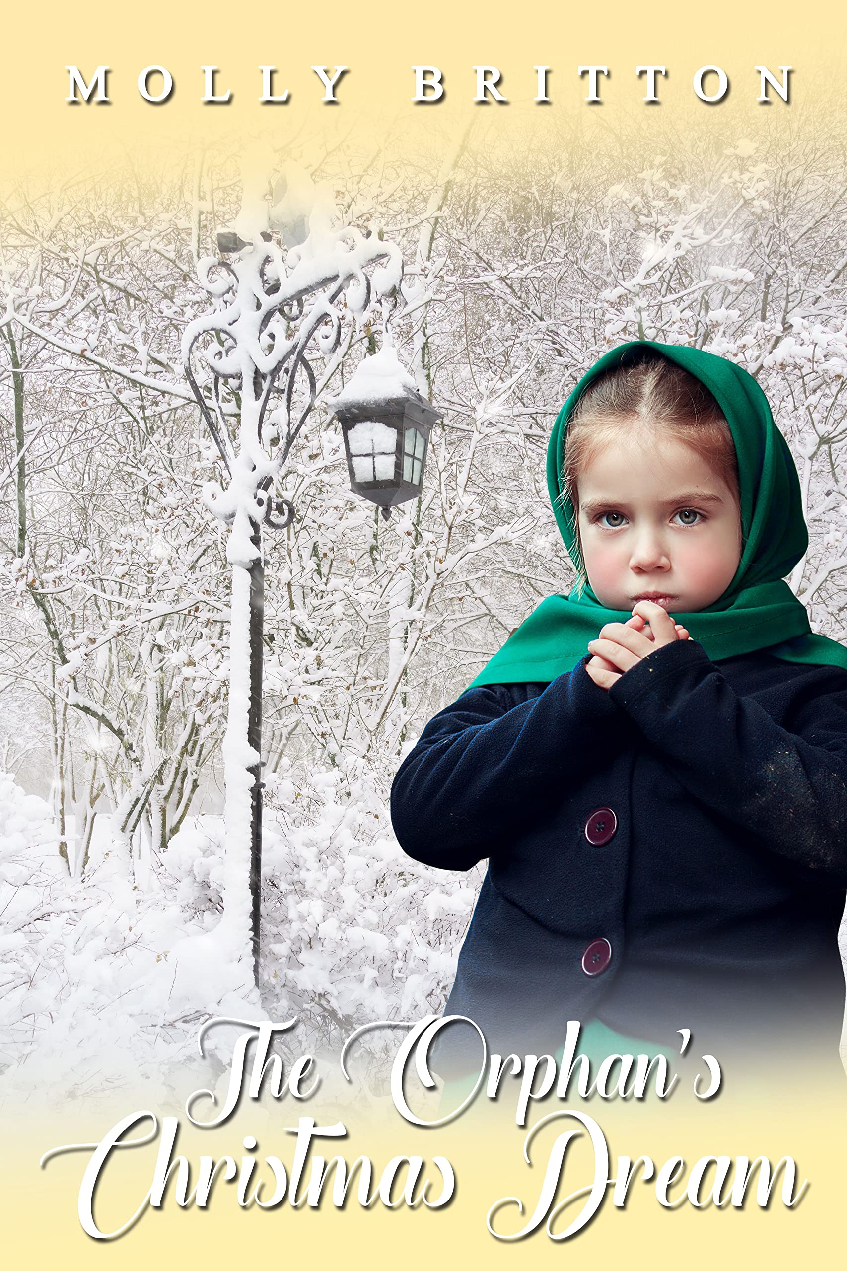 The Orphan's Christmas Dream