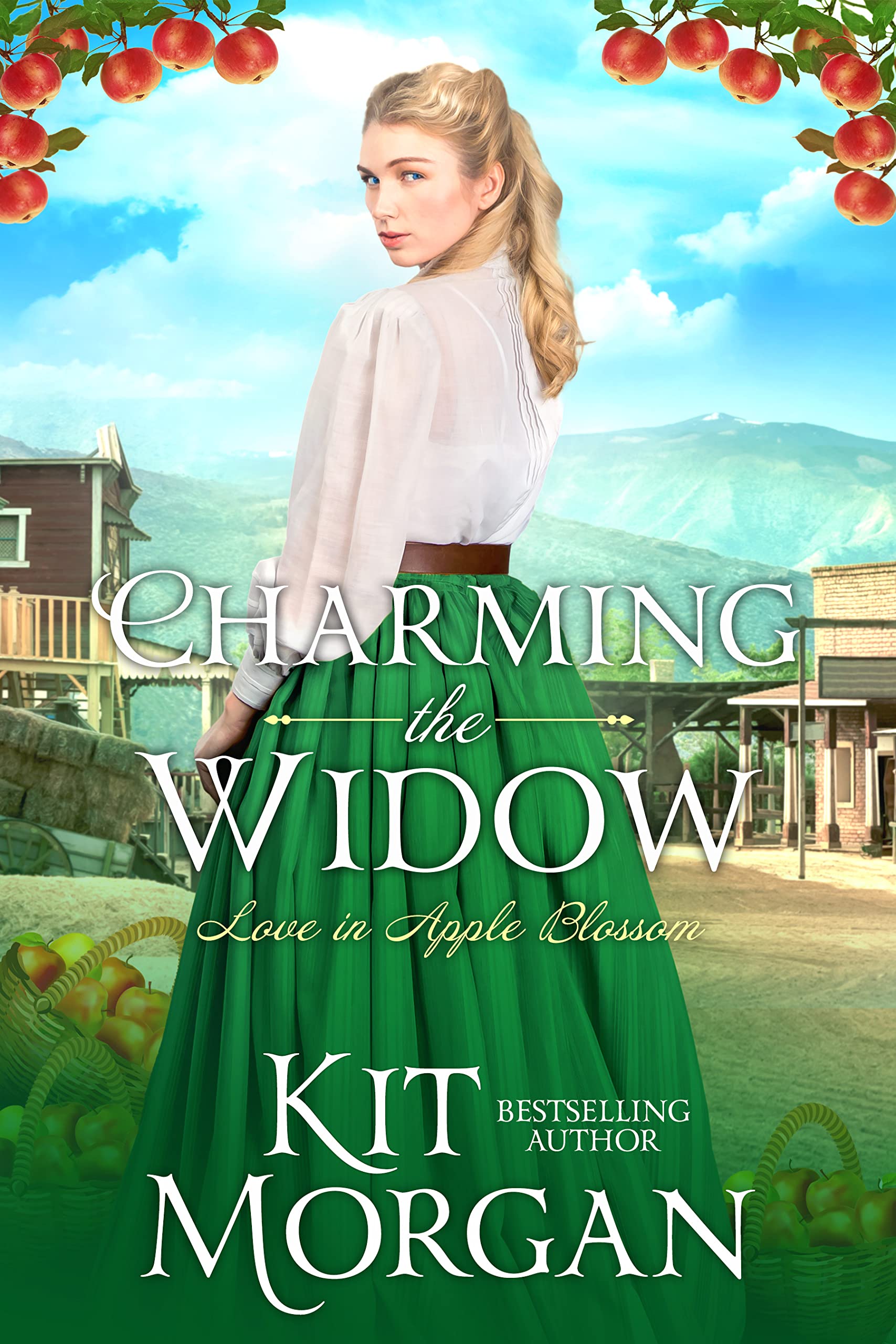 Charming the Widow book cover