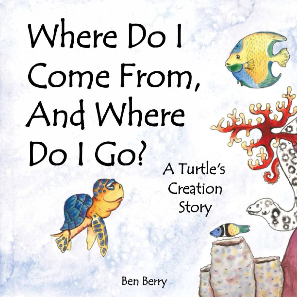 Where Do I Come From, And Where Do I Go? A Turtle