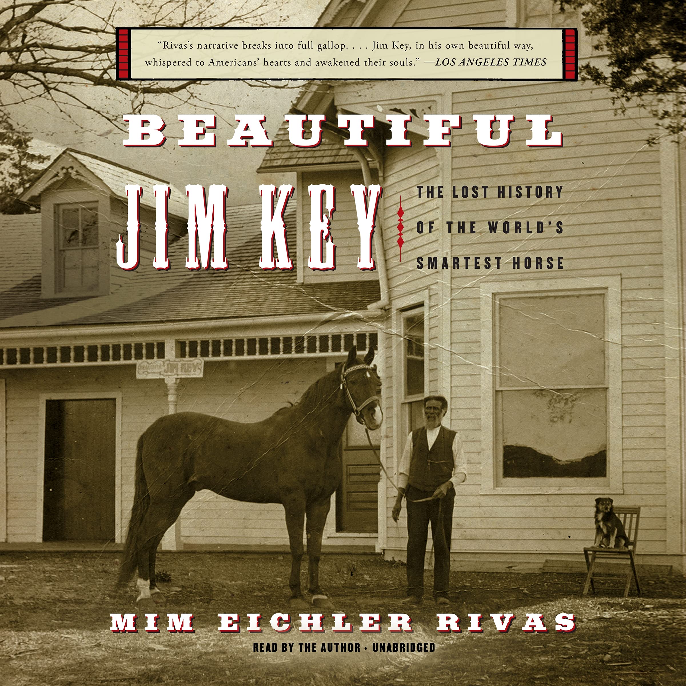 Beautiful Jim Key The Lost History of the Worlds Smartest Horse by Mim