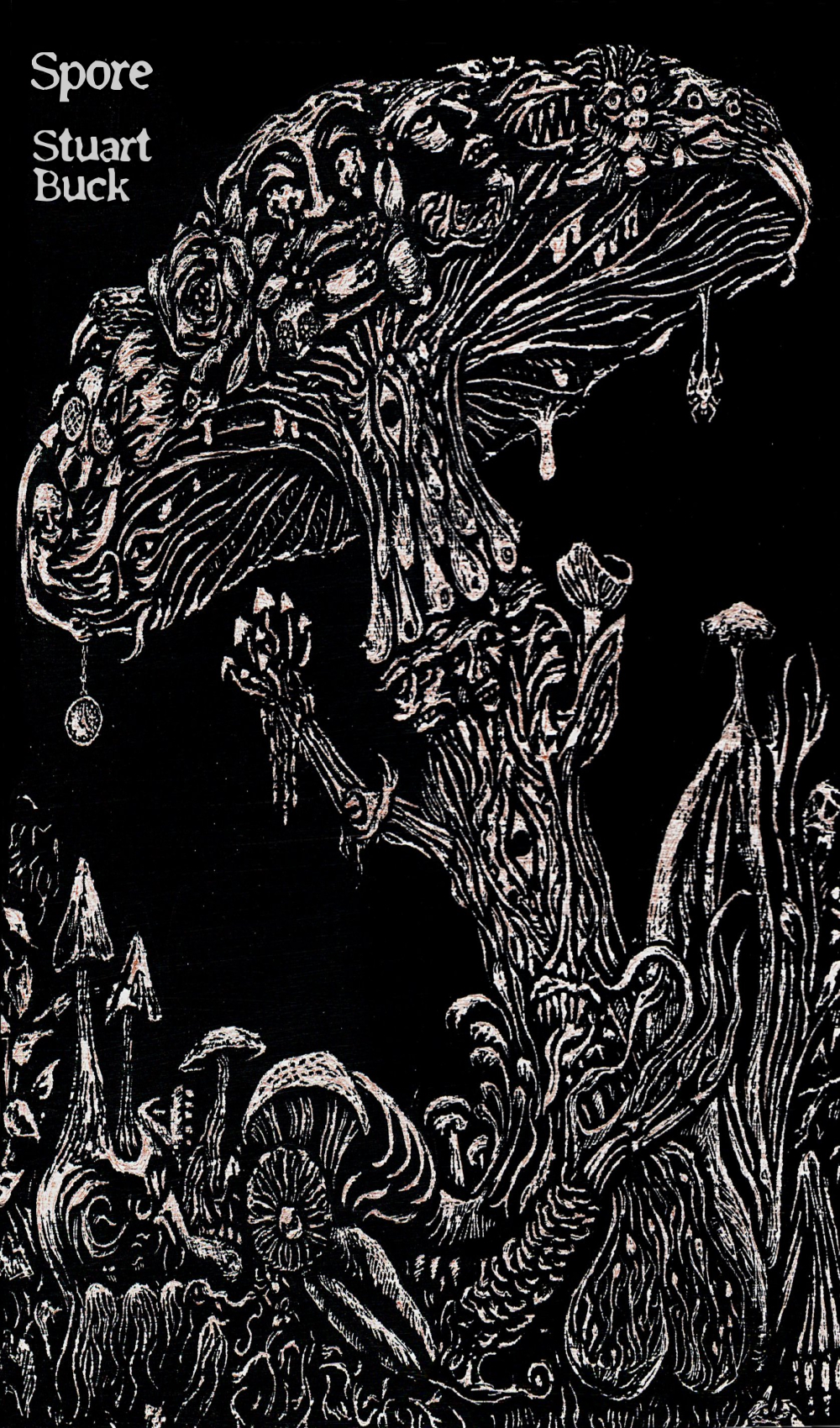 Spore