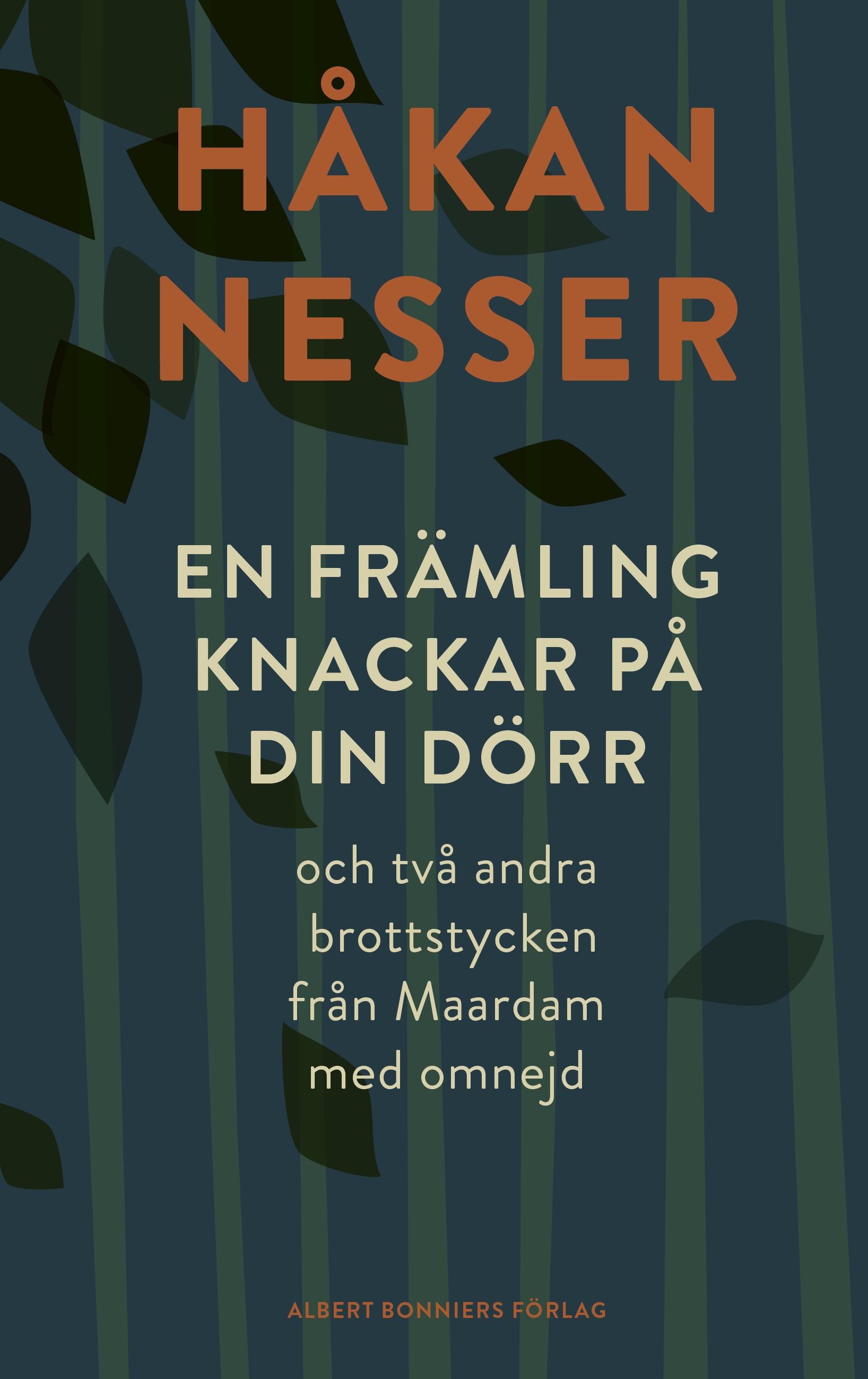 En främling knackar på din dörr book cover