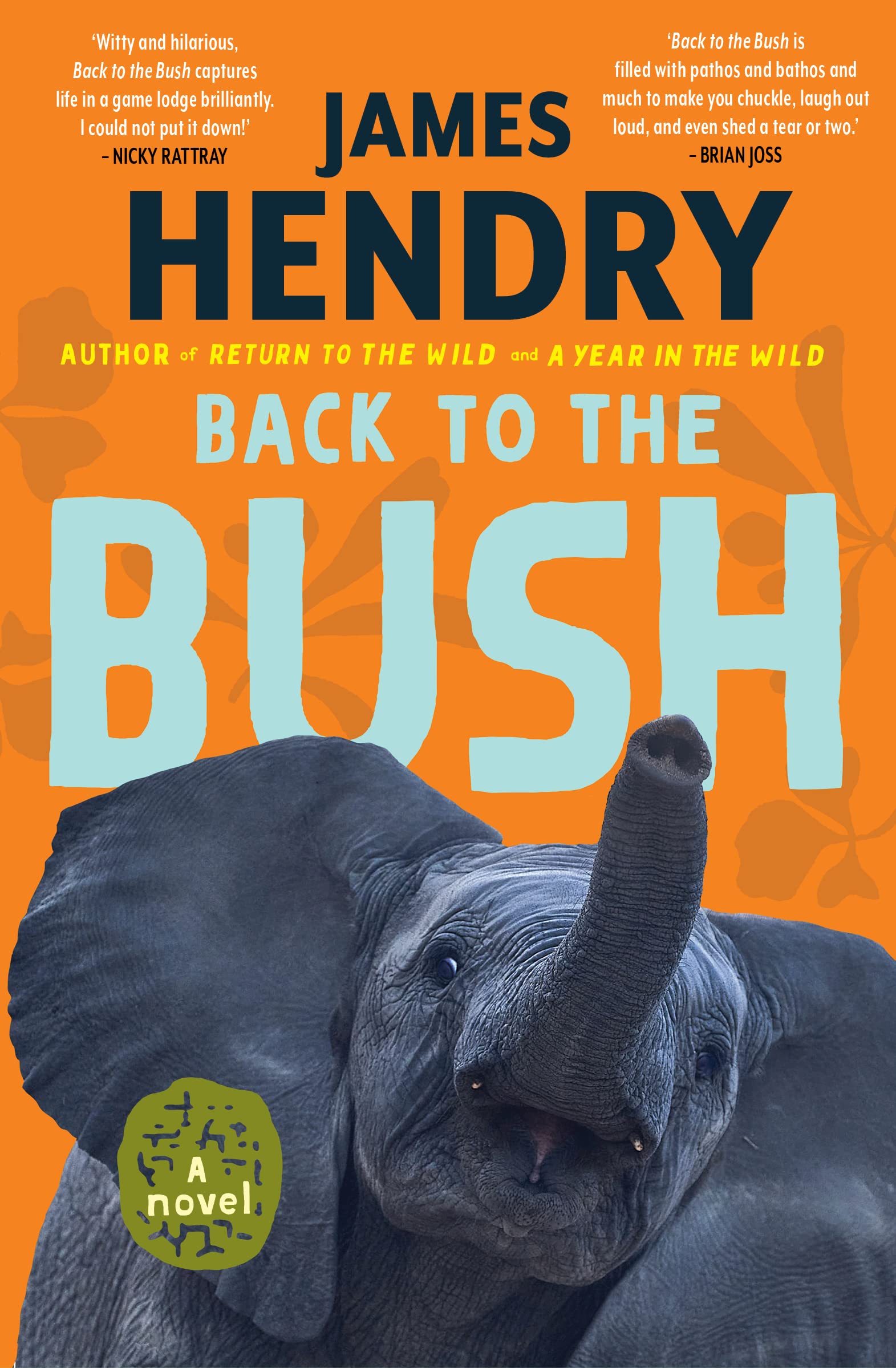 Back to the Bush: A Novel