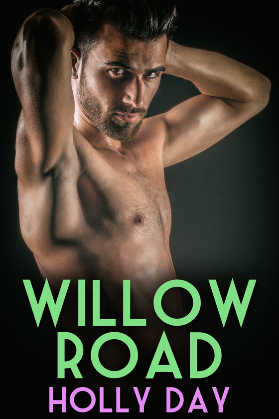 Willow Road book cover