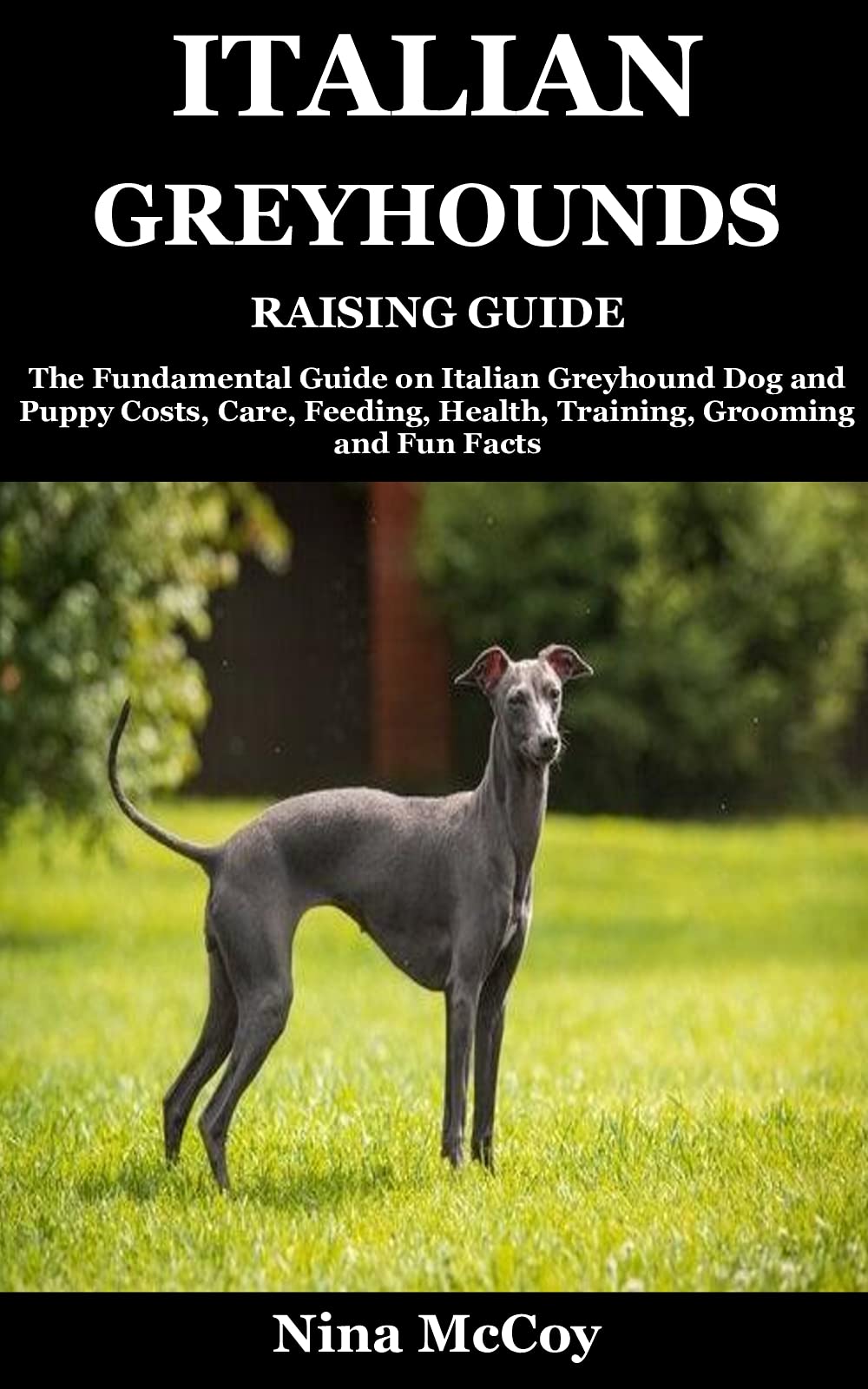 Italian Greyhounds Raising Guide The Fundamental Guide on Italian