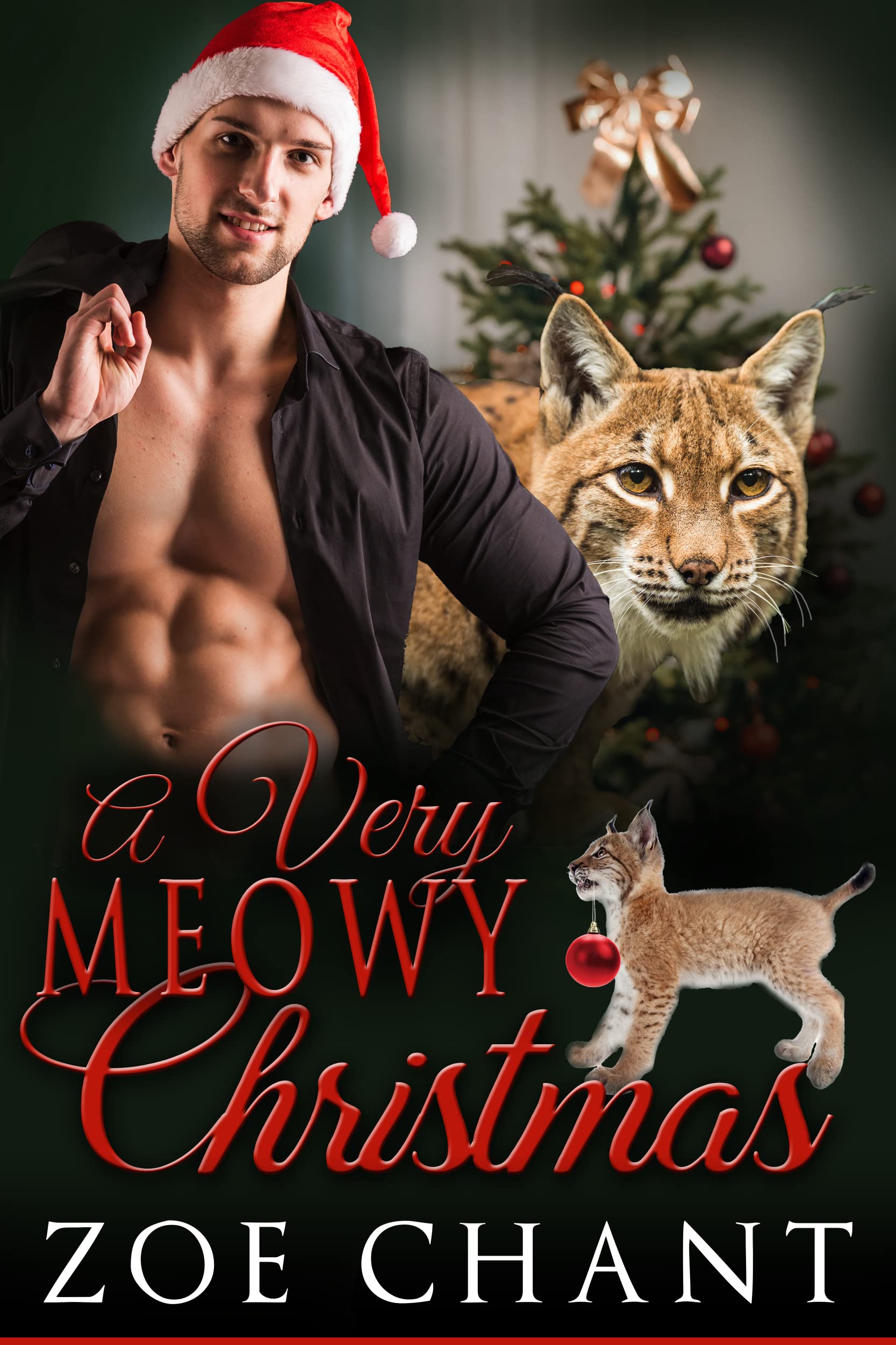 A Very Meowy Christmas book cover