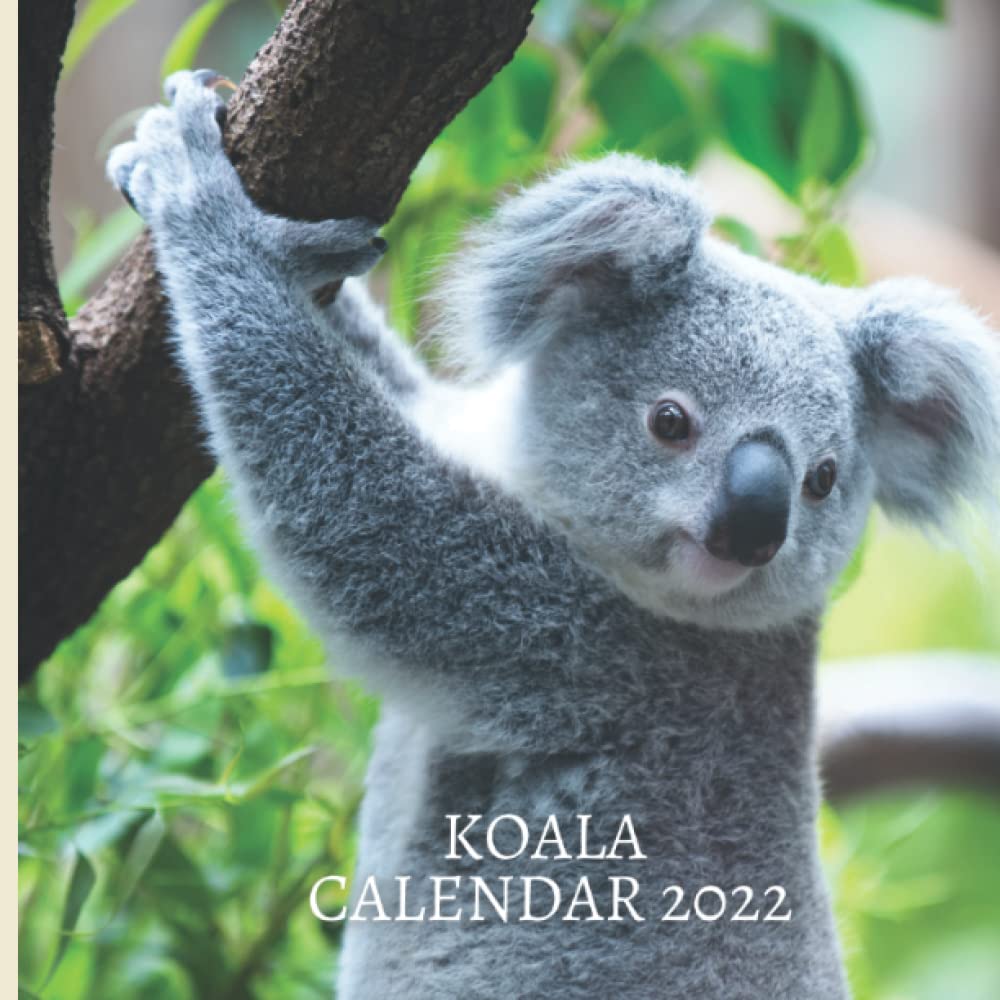 Koala Calendar 2022 Perfect gift for women, men, girls, and Koala