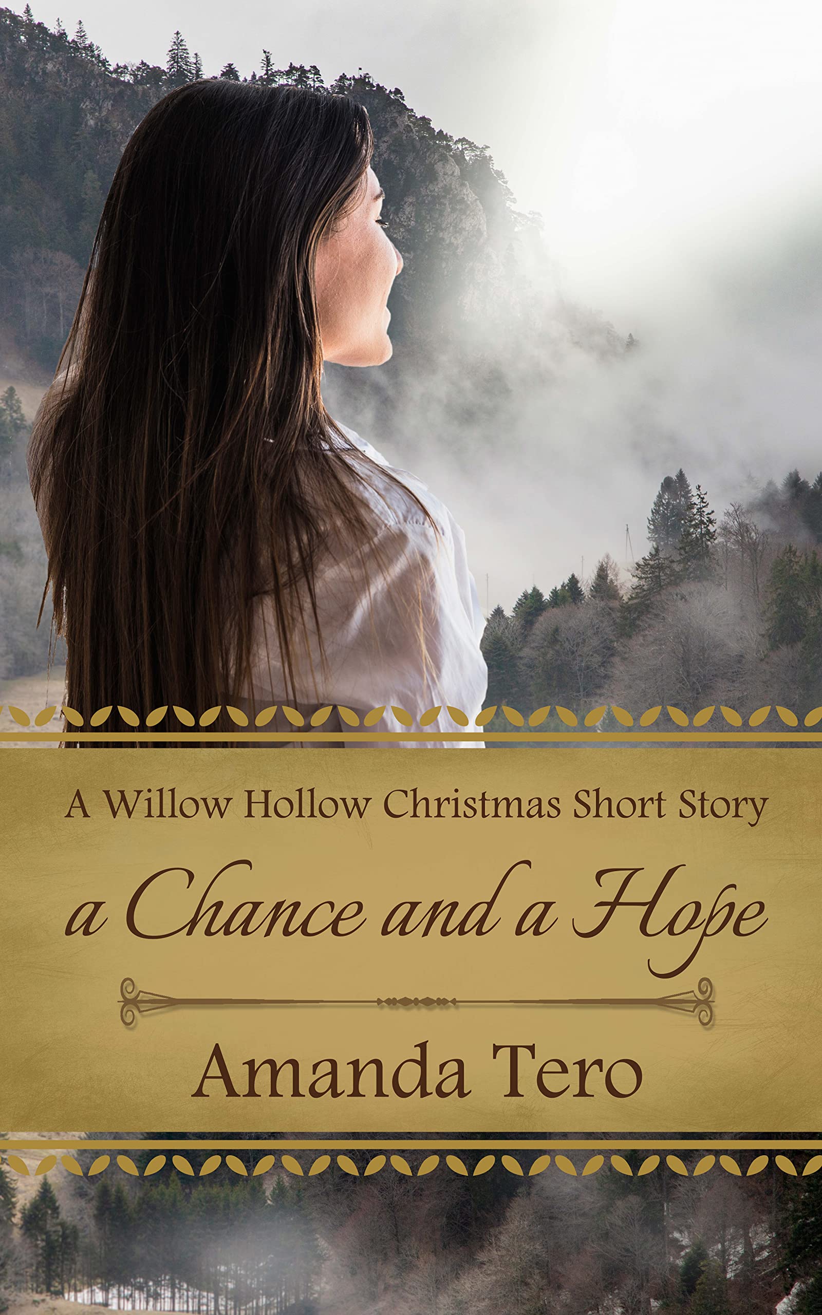 A Chance and a Hope book cover