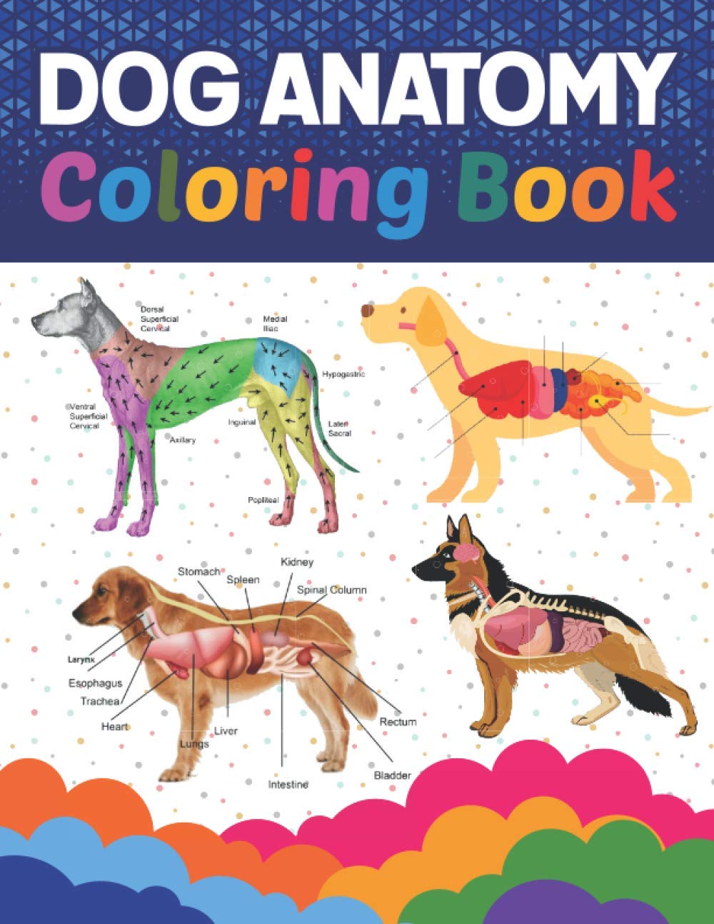 Dog Anatomy Coloring Book: Introduction to Animal Anatomy Workbook. Dog ...