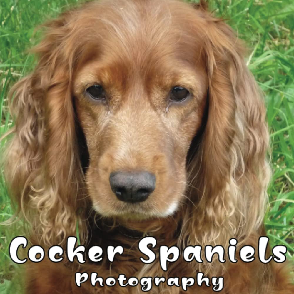 Photography Of Cocker Spaniels Cocker Spaniels 20232024 Calendar
