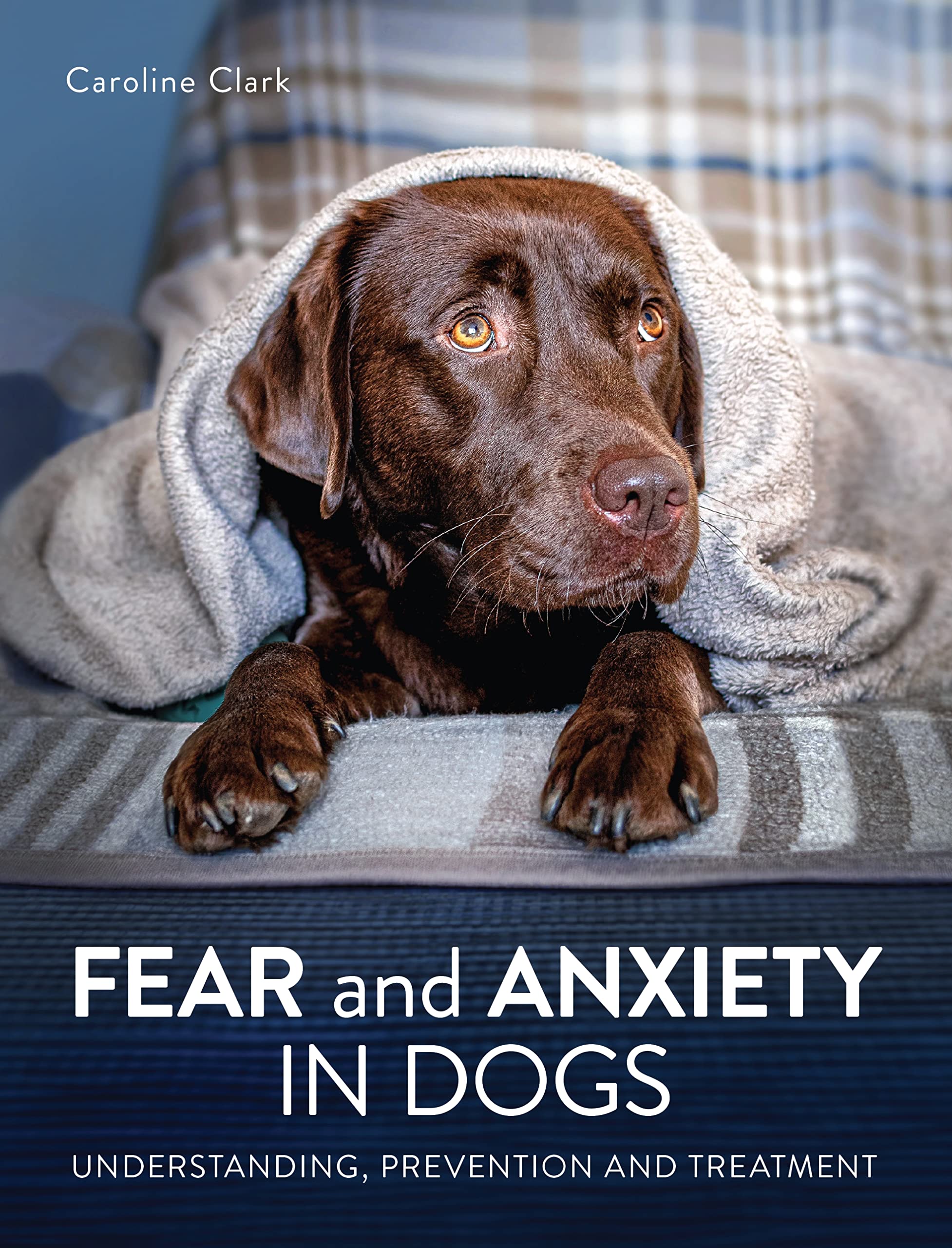Understanding Anxious Dog Grazing Issues Reference: Fear And Anxiety In Dogs Understanding Prevention And Treatment By