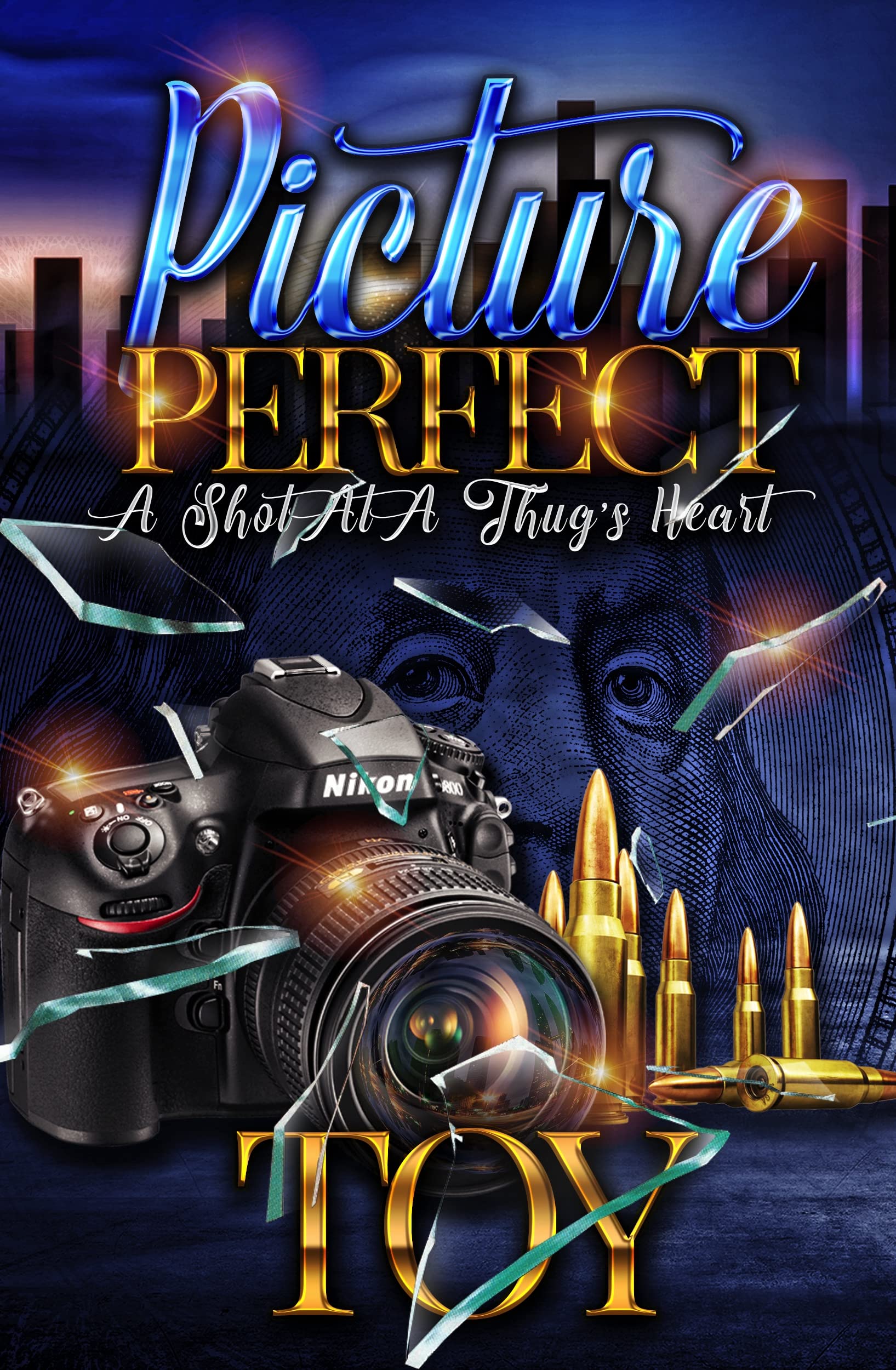 Picture Perfect book cover