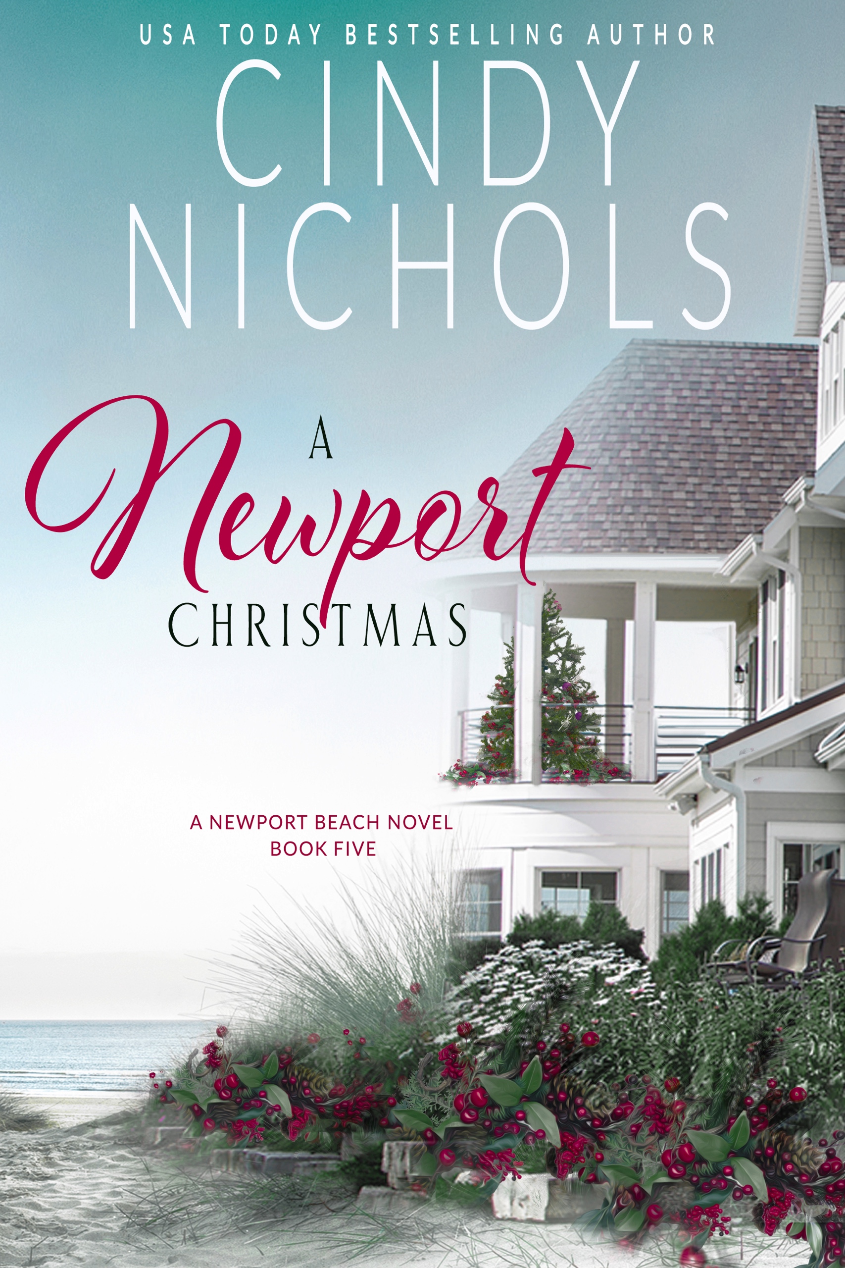 A Newport Christmas book cover