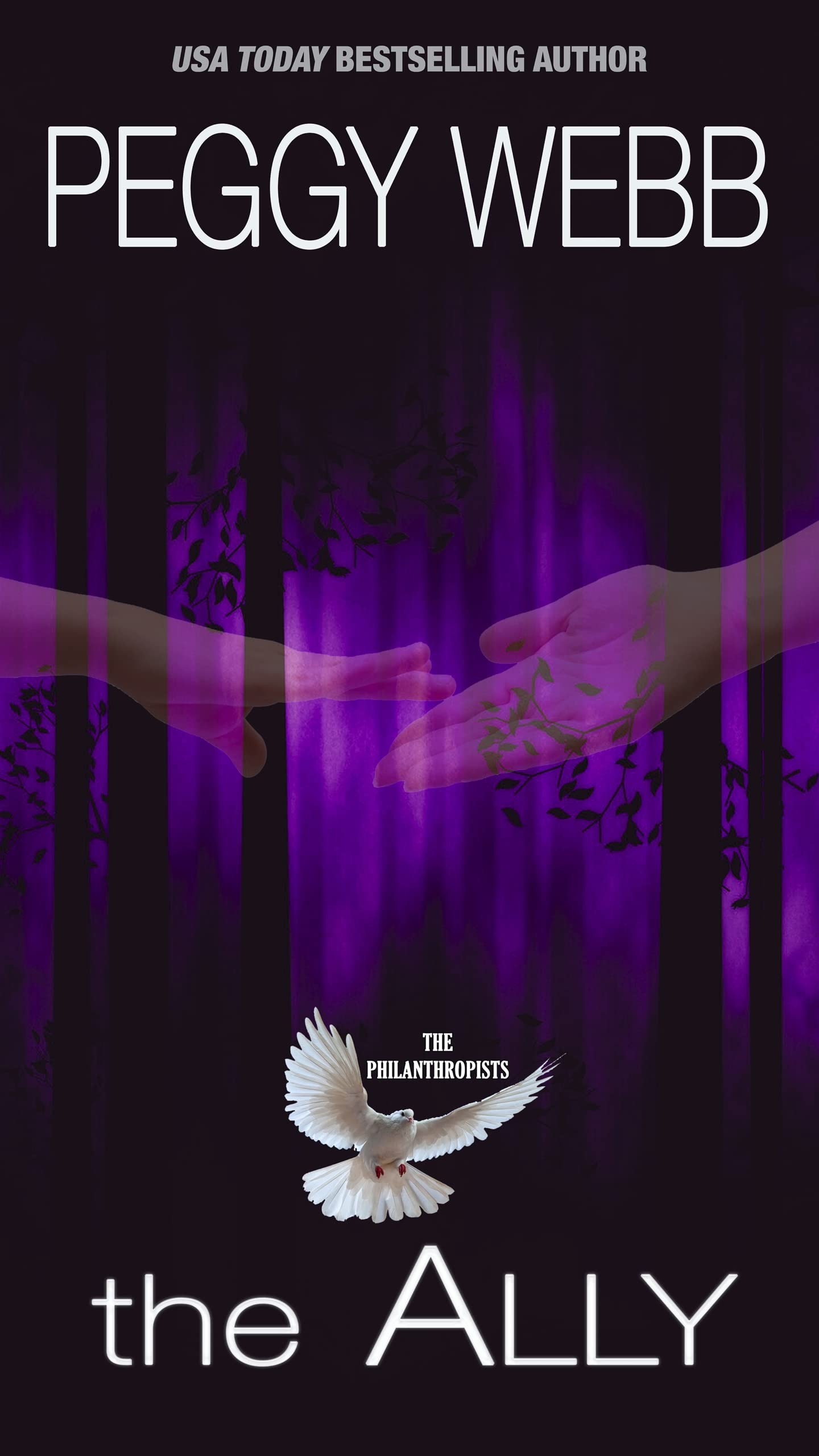 The Ally book cover
