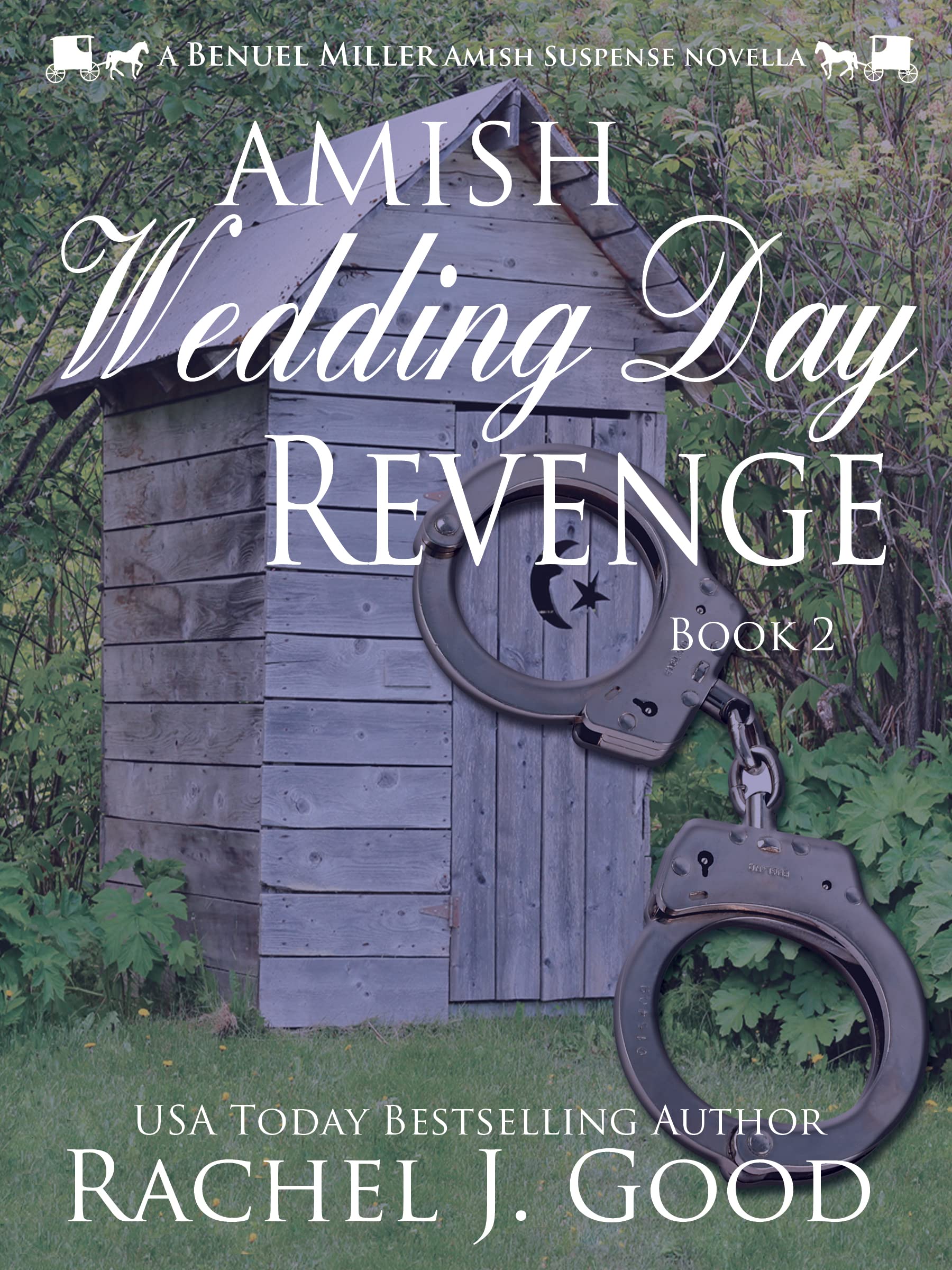 Amish Wedding Day Revenge