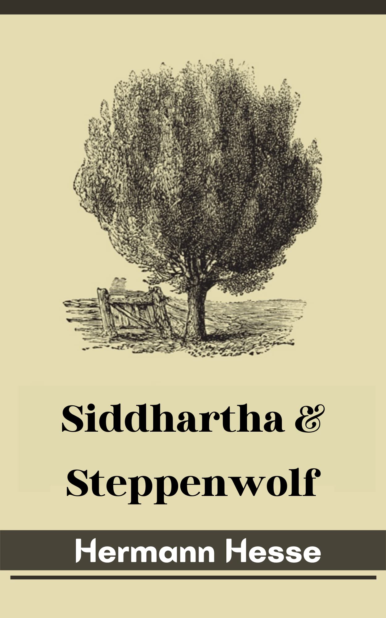 Siddhartha & Steppenwolf book cover