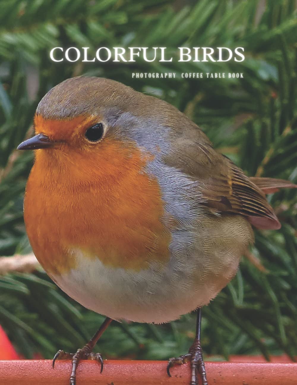 Colorful Birds Photography Coffee Table Book For Nature Lovers and